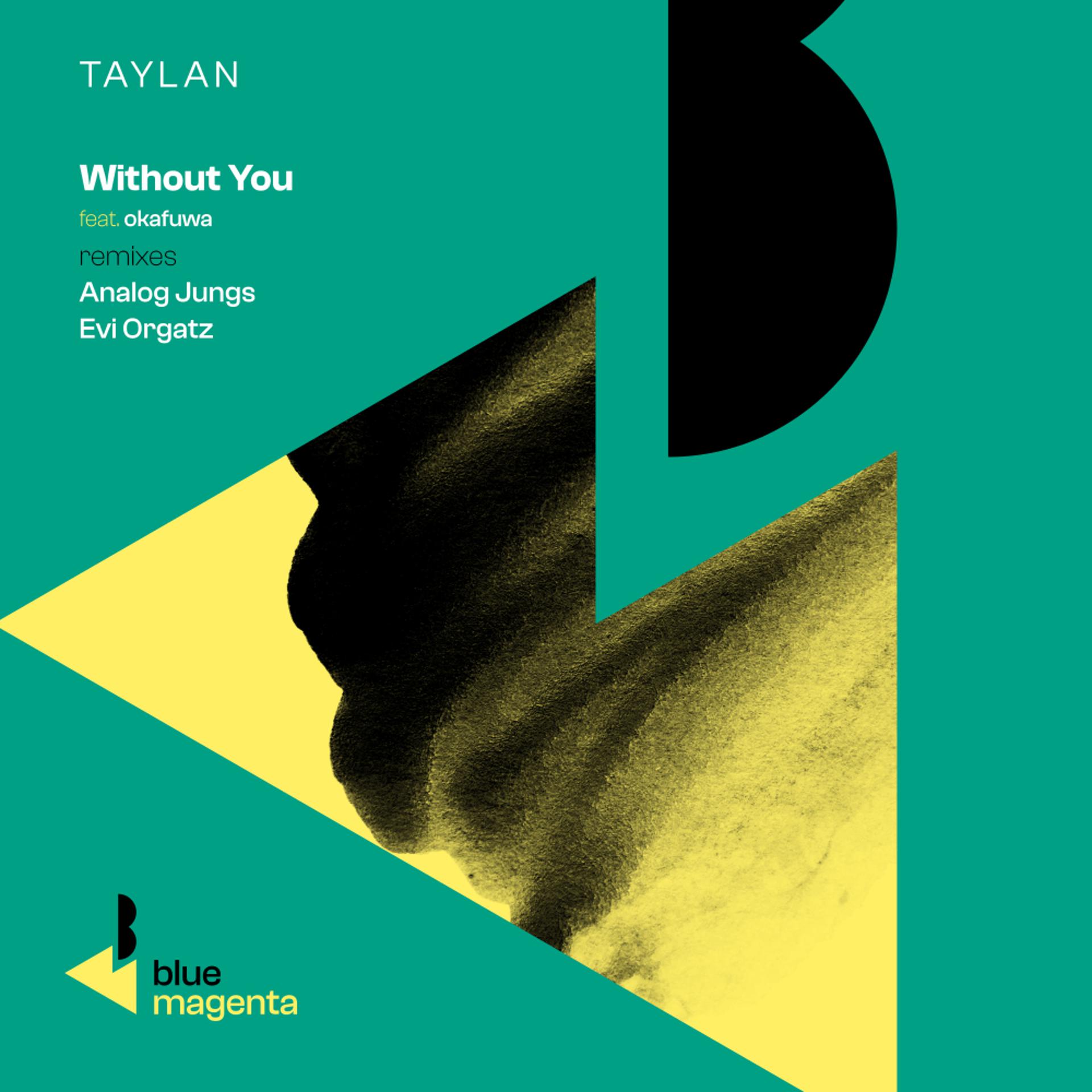 Постер альбома Without You (Remixes)