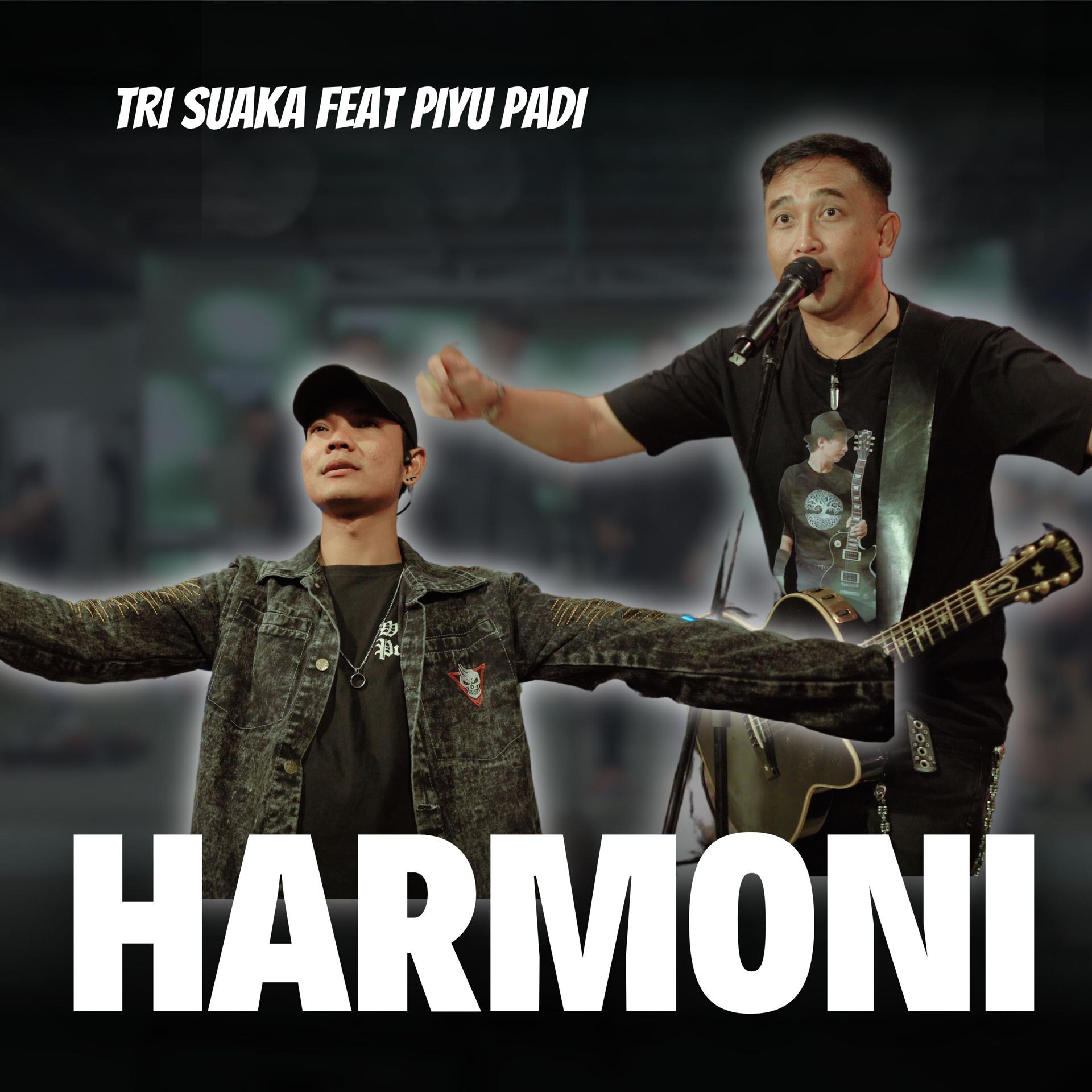Постер альбома Harmoni