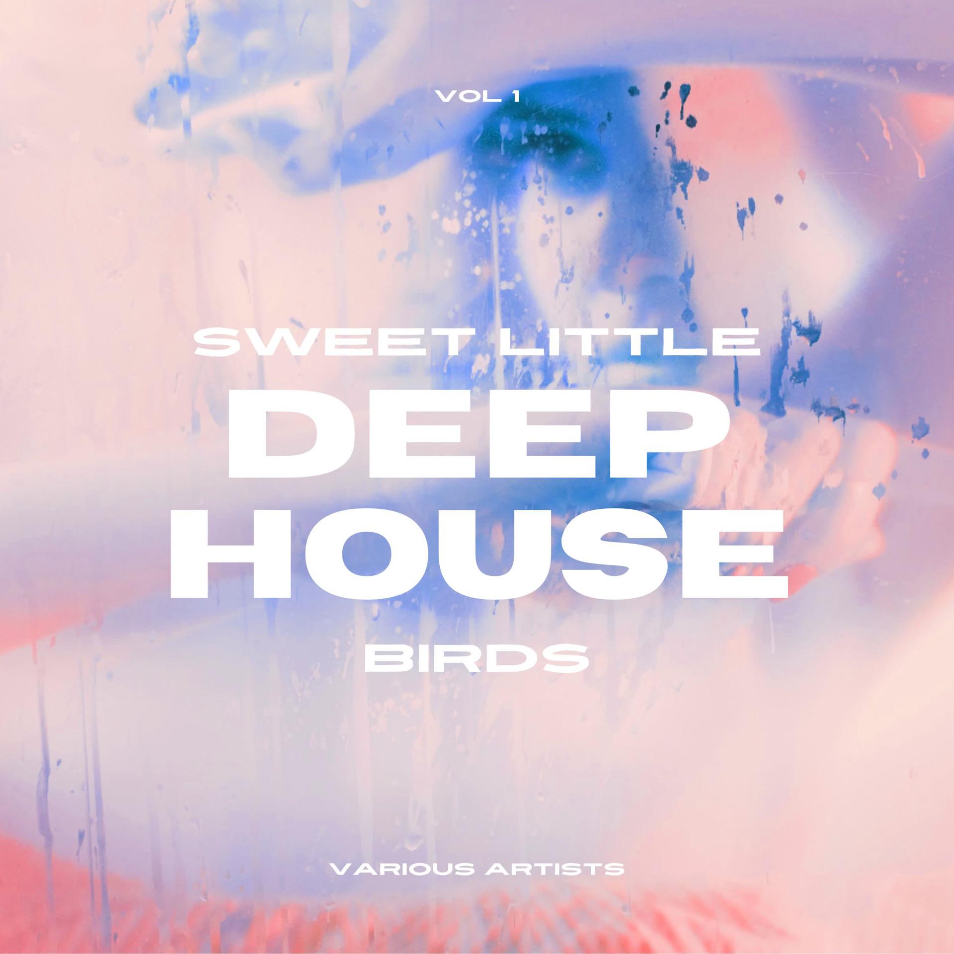 Постер альбома Sweet Little Deep-House Birds, Vol. 1