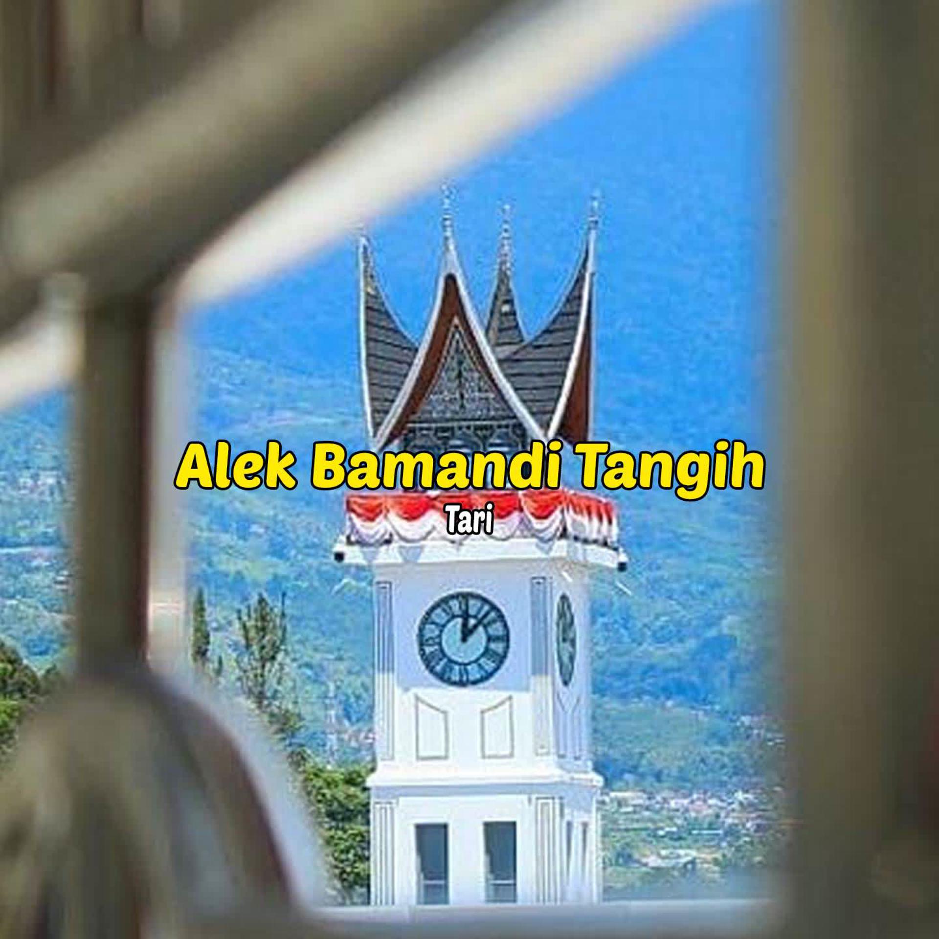 Постер альбома Alek Bamandi Tangih