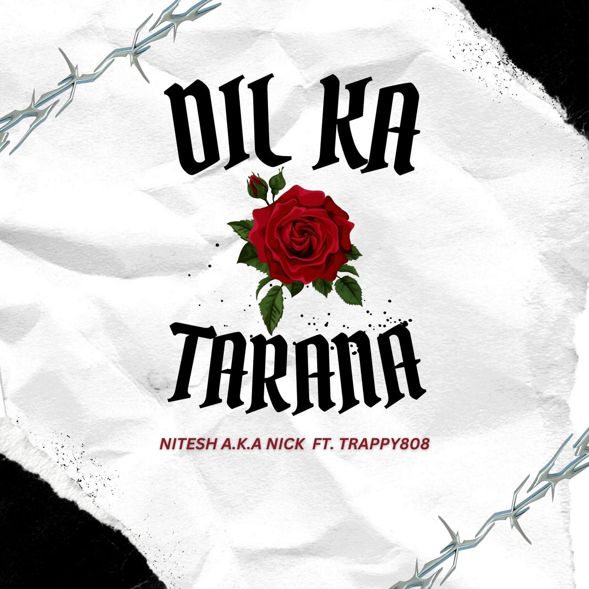 Постер альбома Dil Ka Tarana