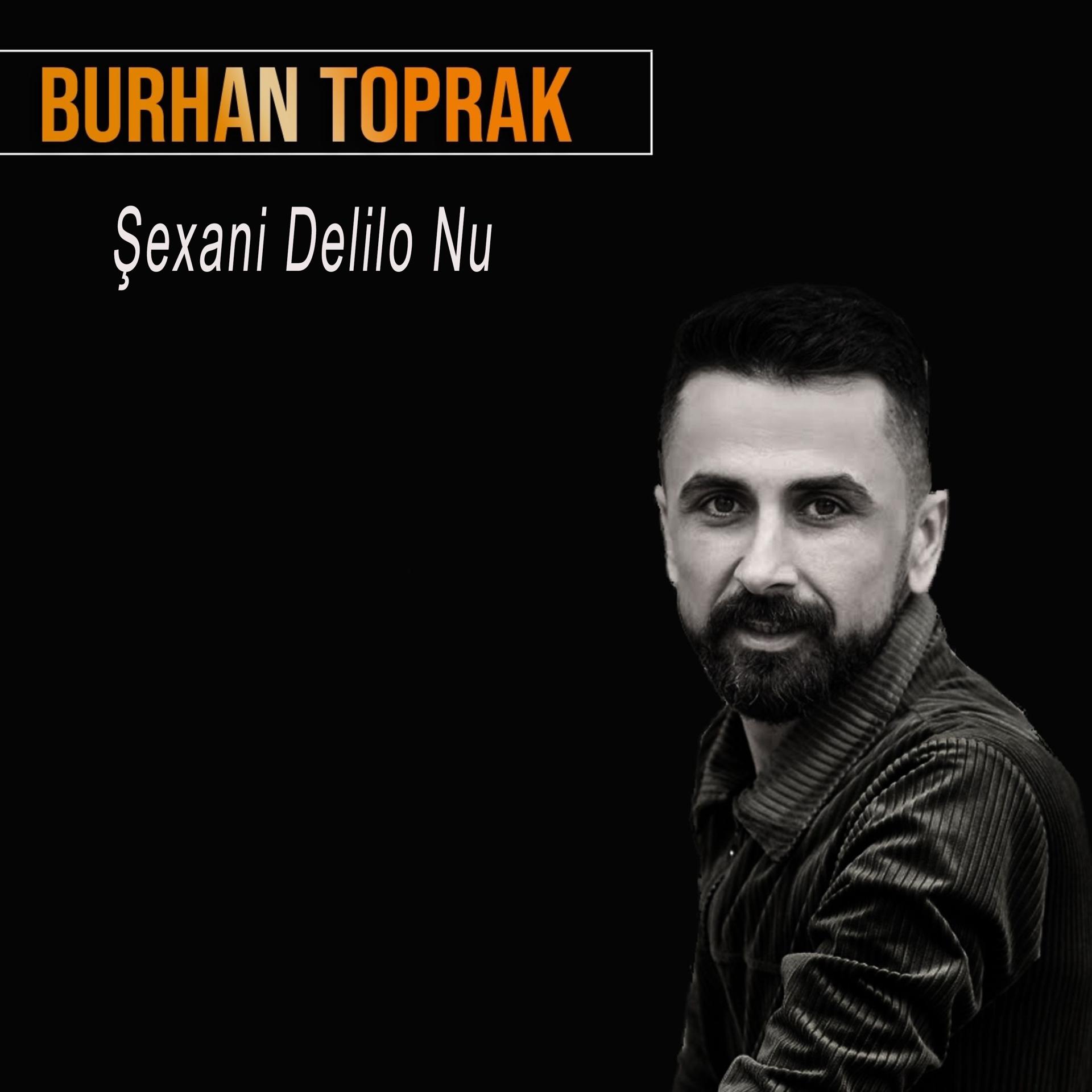 Постер альбома Şexani Delilo Nu
