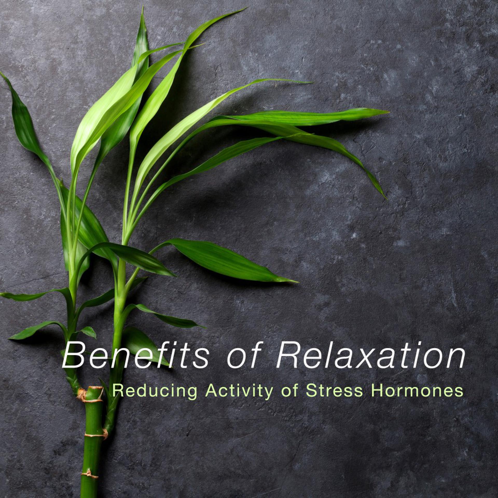Постер альбома Benefits of Relaxation (Reducing Activity of Stress Hormones)