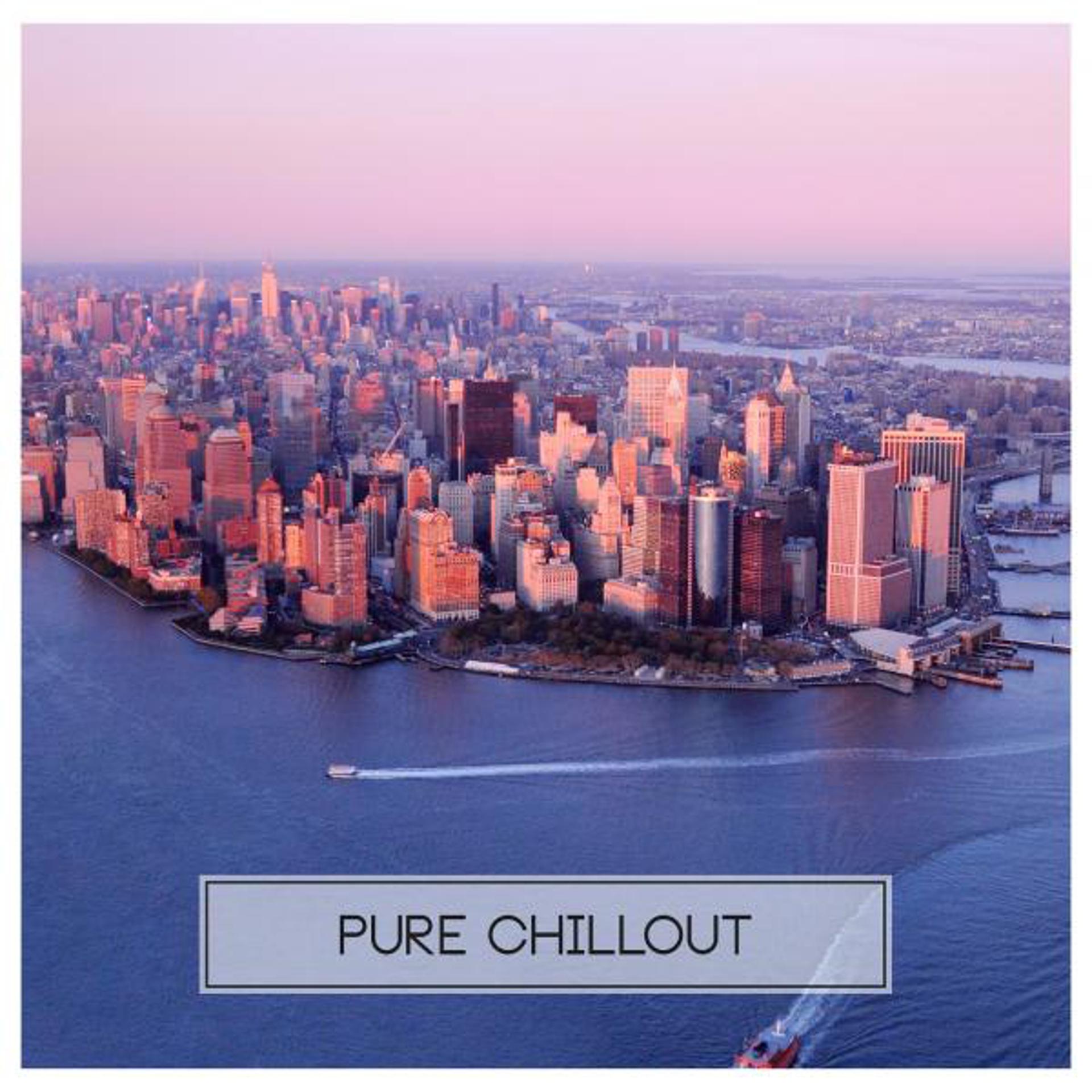 Постер альбома Pure Chillout