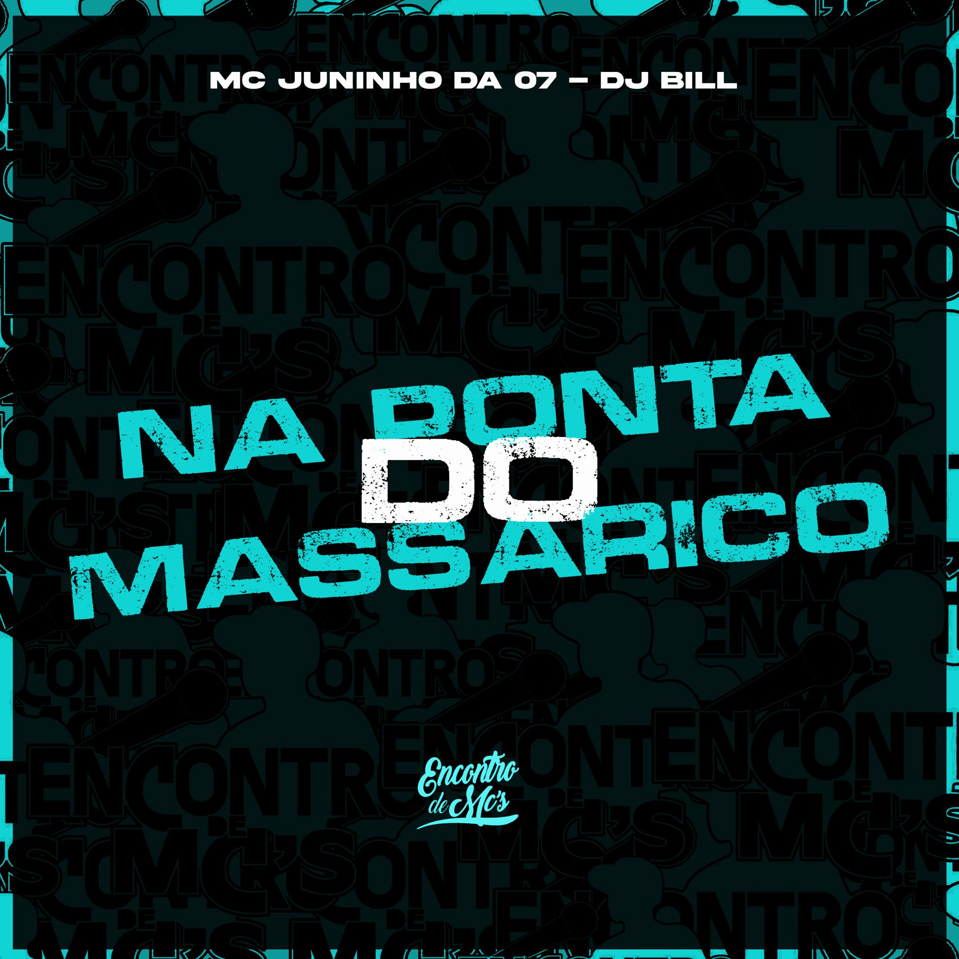 Постер альбома Na Ponta do Massarico