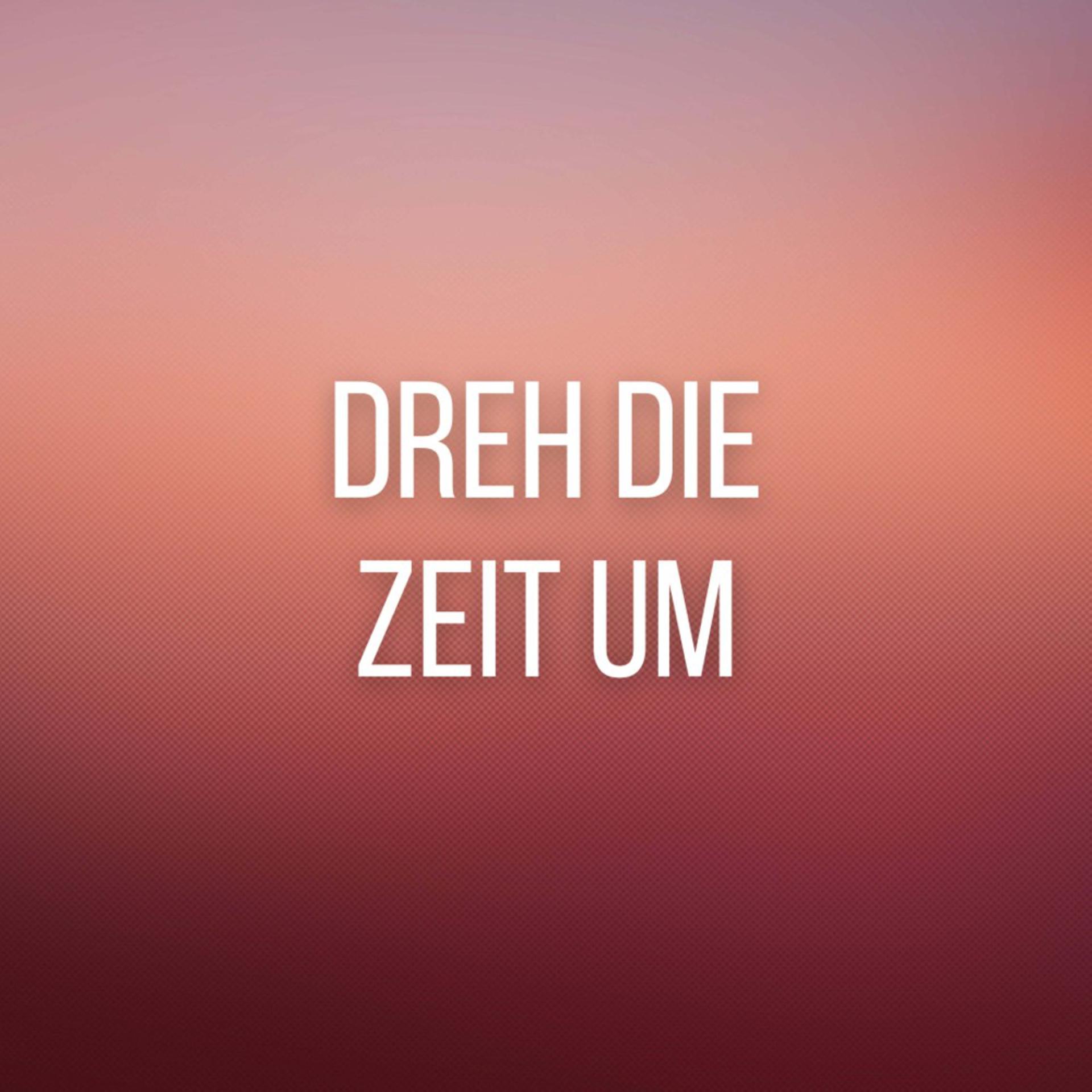 Постер альбома Dreh die Zeit um (Pastiche/Remix/Mashup)