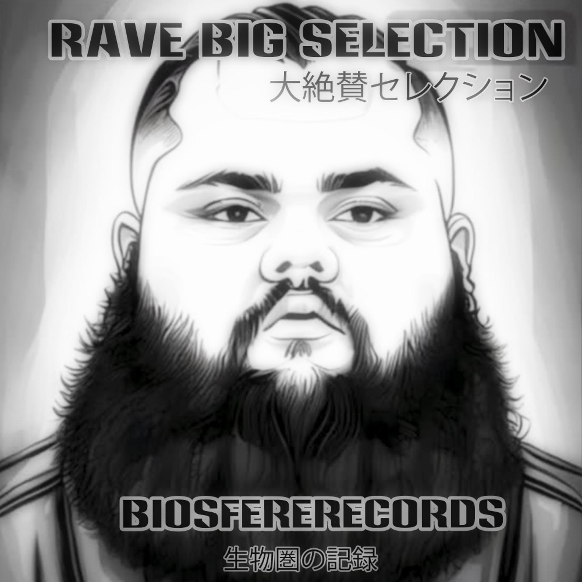 Постер альбома Rave Big Selection