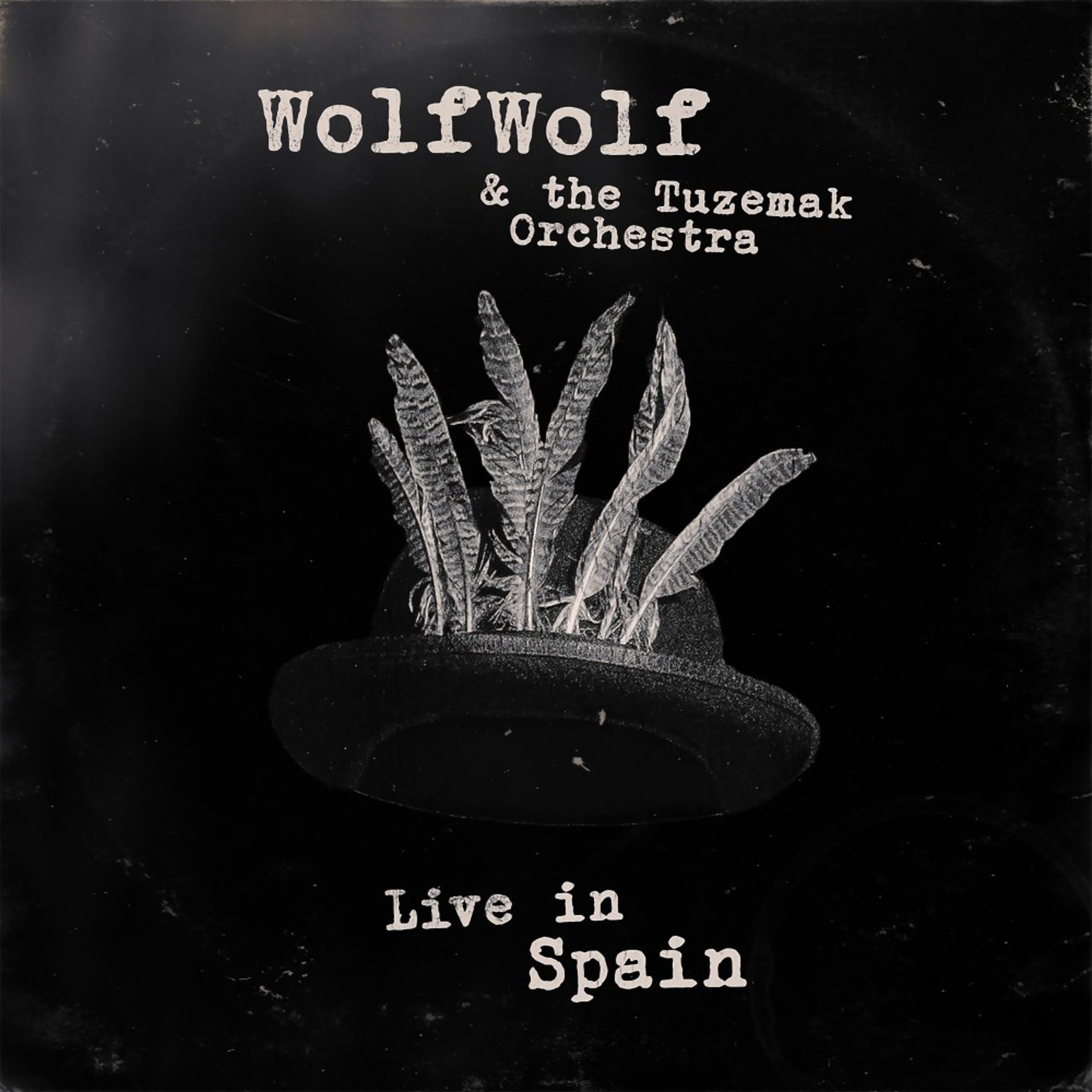 Постер альбома Live in Spain (Live)