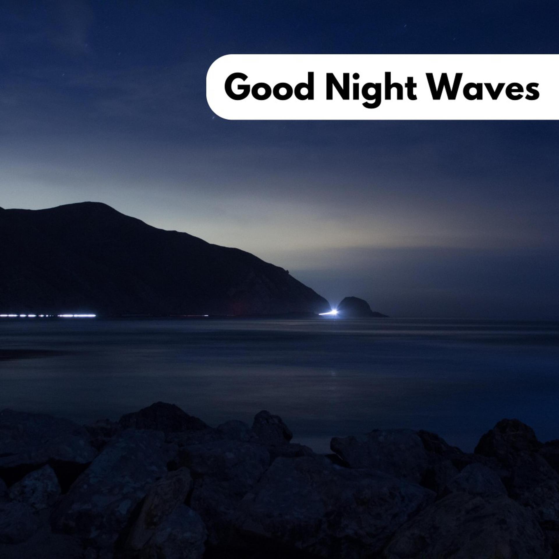 Постер альбома Good Night Waves