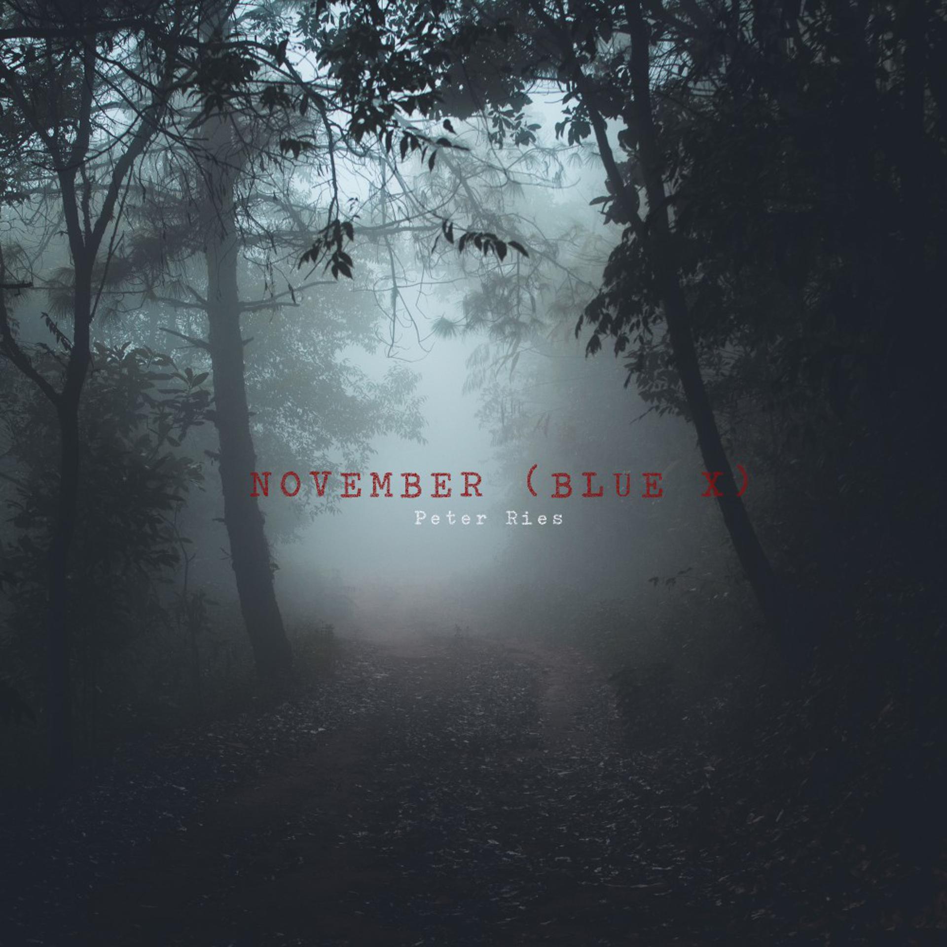 Постер альбома November (Blue X)