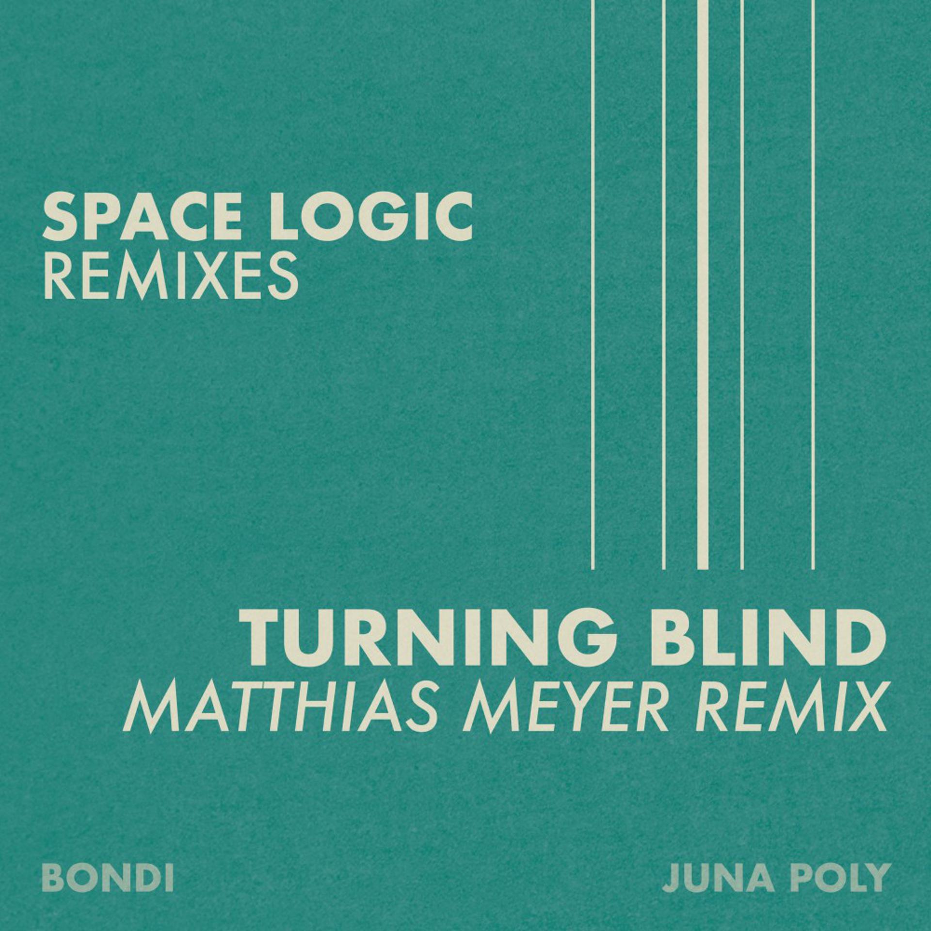 Постер альбома Turning Blind (Matthias Meyer Remix)