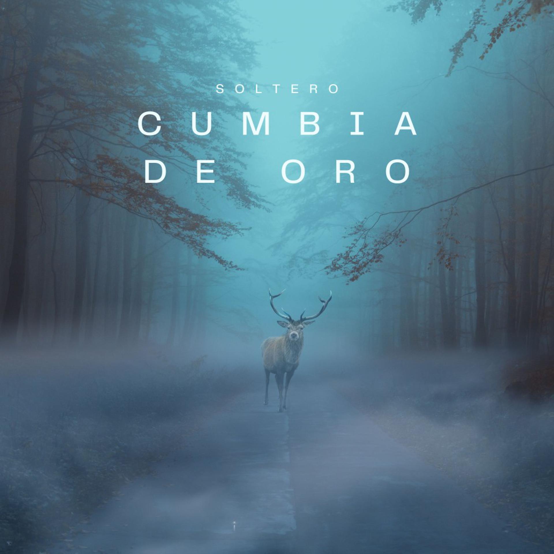 Постер альбома Cumbia de Oro
