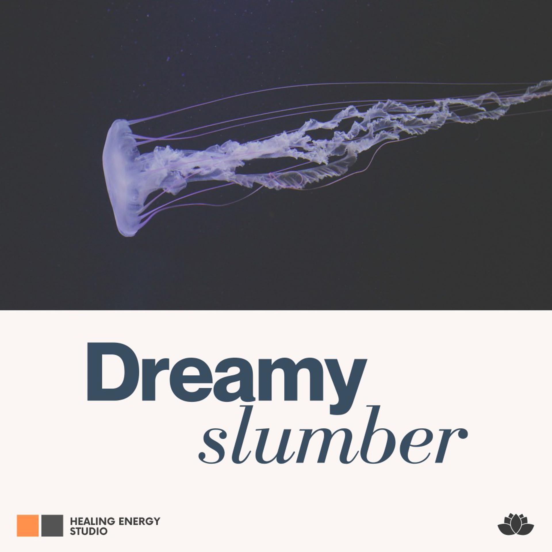 Постер альбома Dreamy Slumber