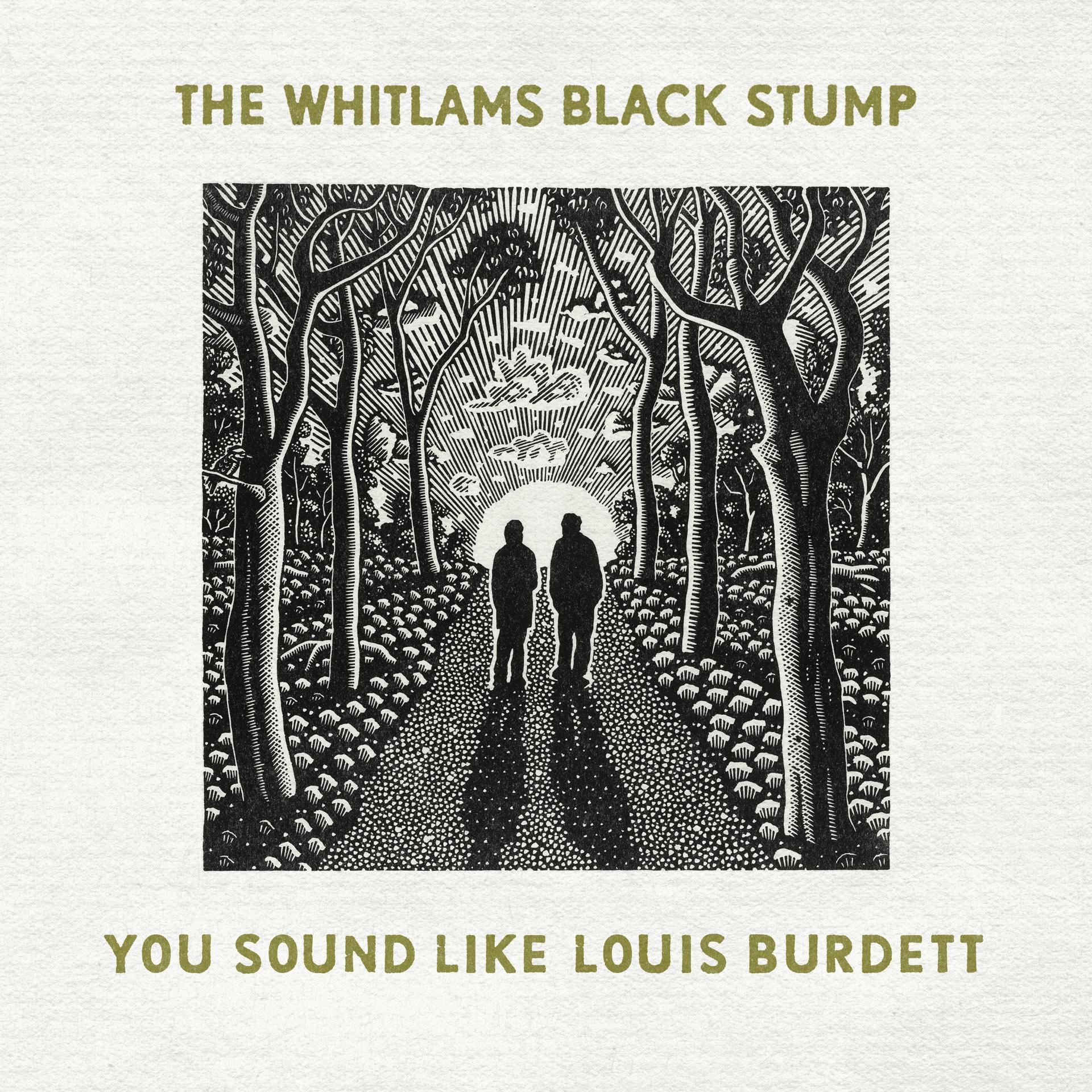 Постер альбома You Sound Like Louis Burdett