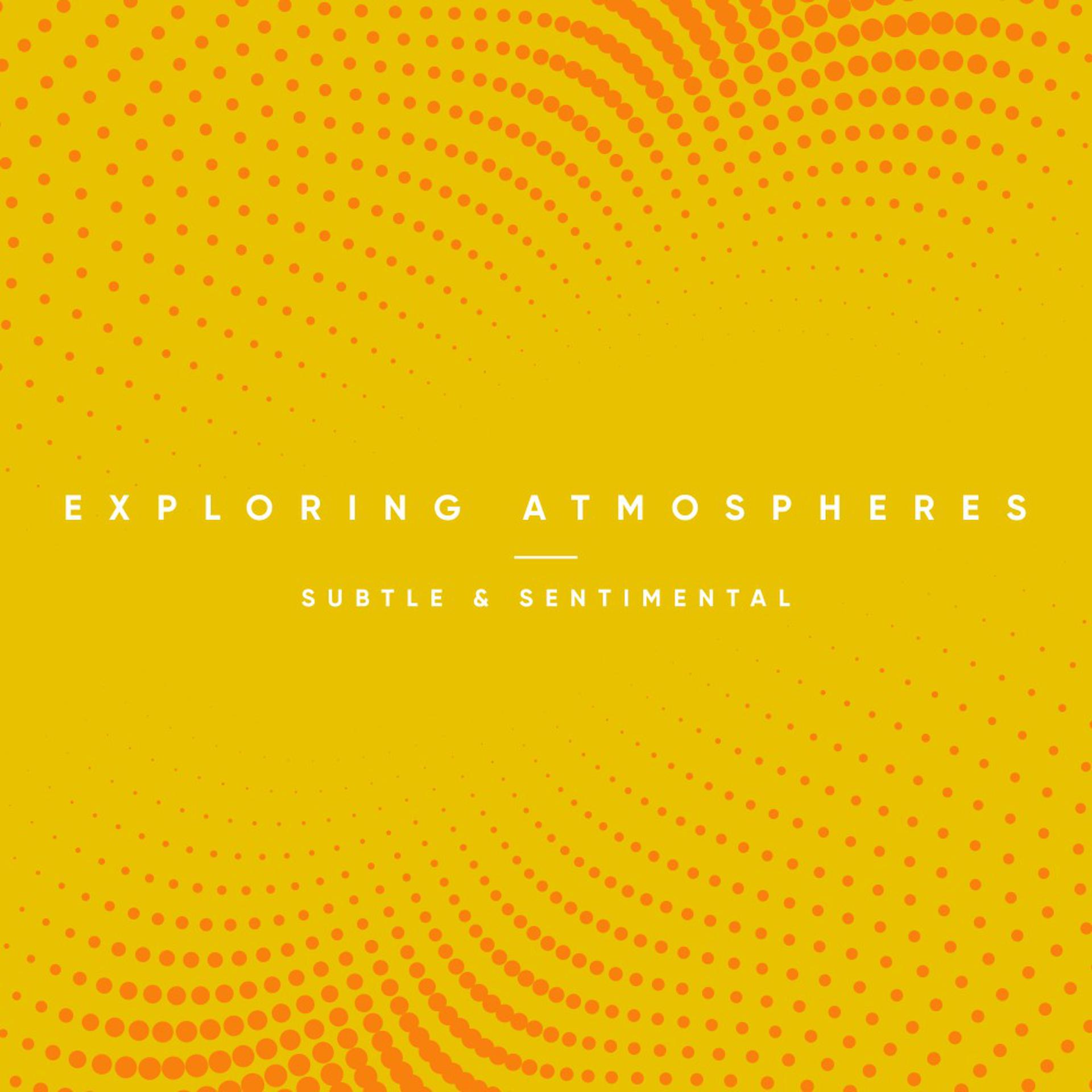 Постер альбома Exploring Atmospheres - Subtle and Sentimental