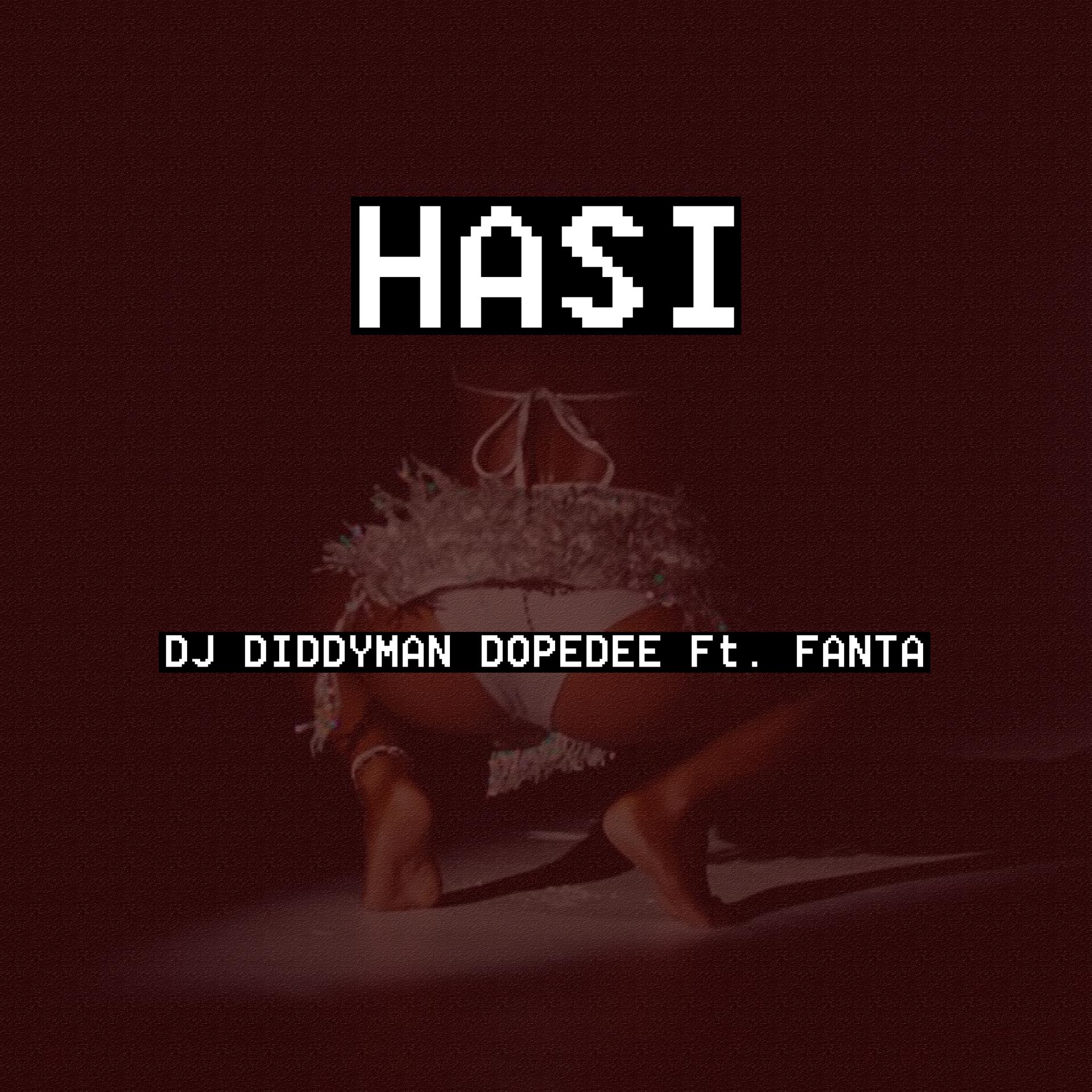 Постер альбома Hasi