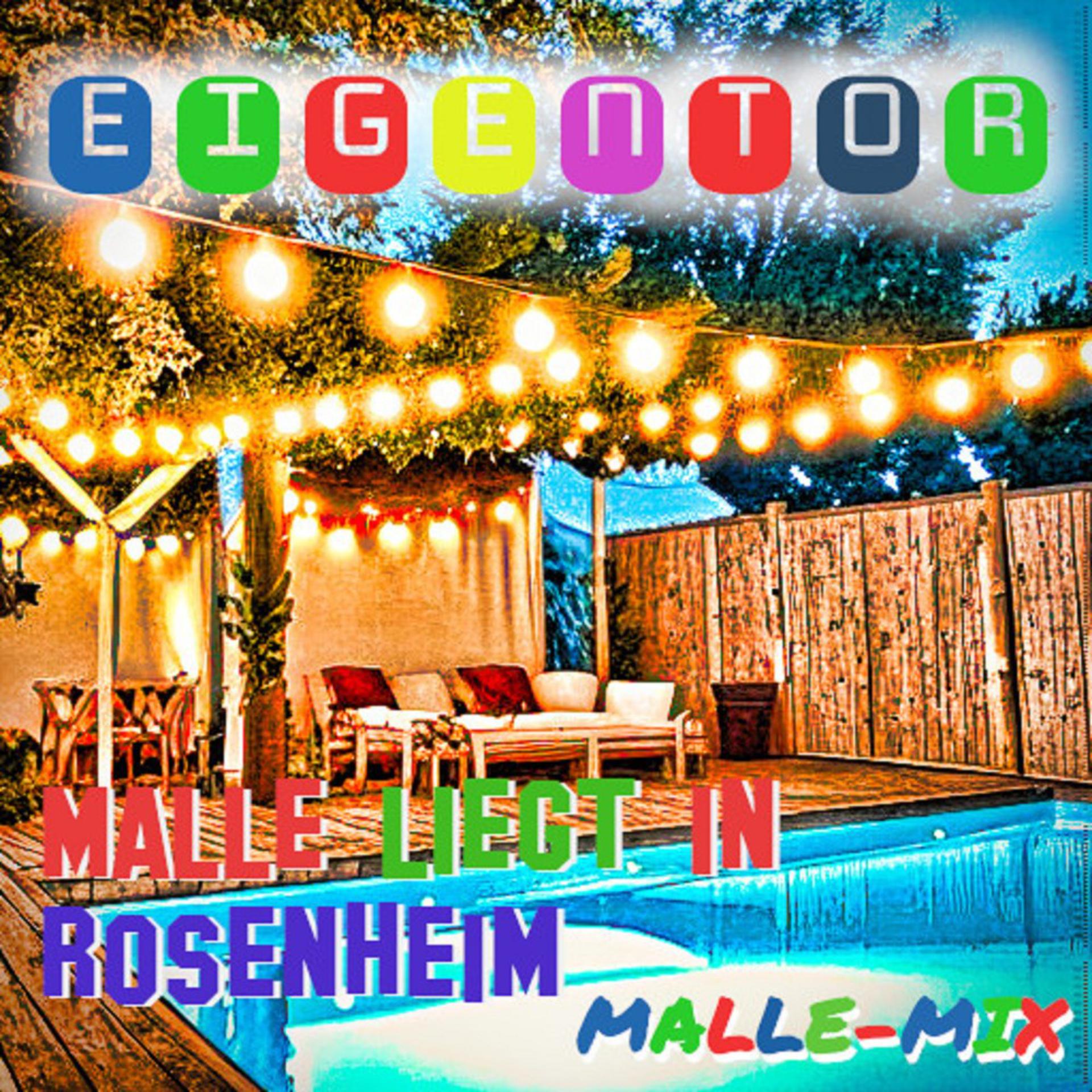 Постер альбома Malle liegt in Rosenheim (Malle-Mix)