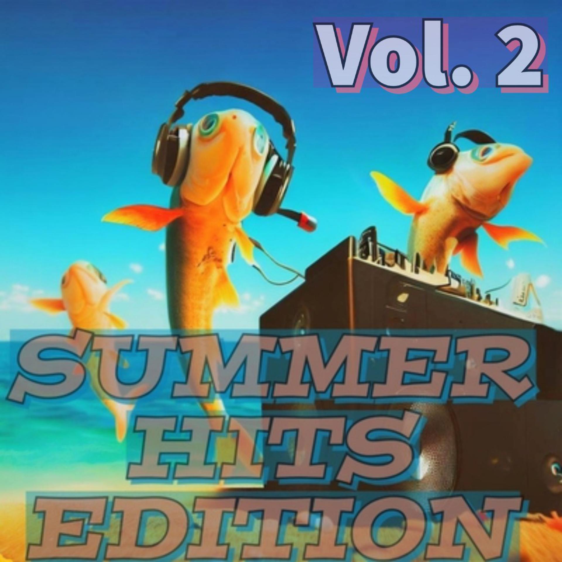 Постер альбома Summer Hits Edition (2)