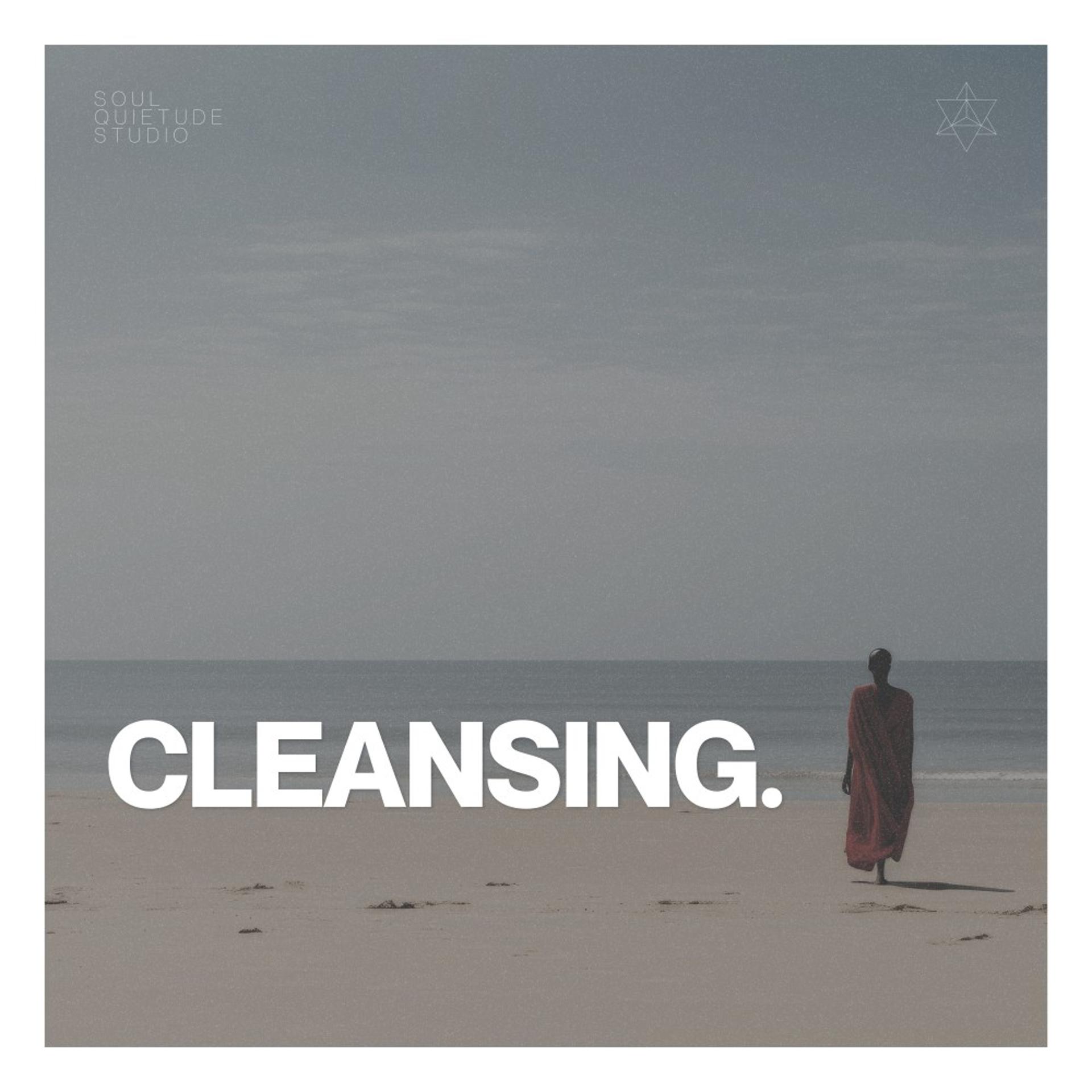 Постер альбома Cleansing