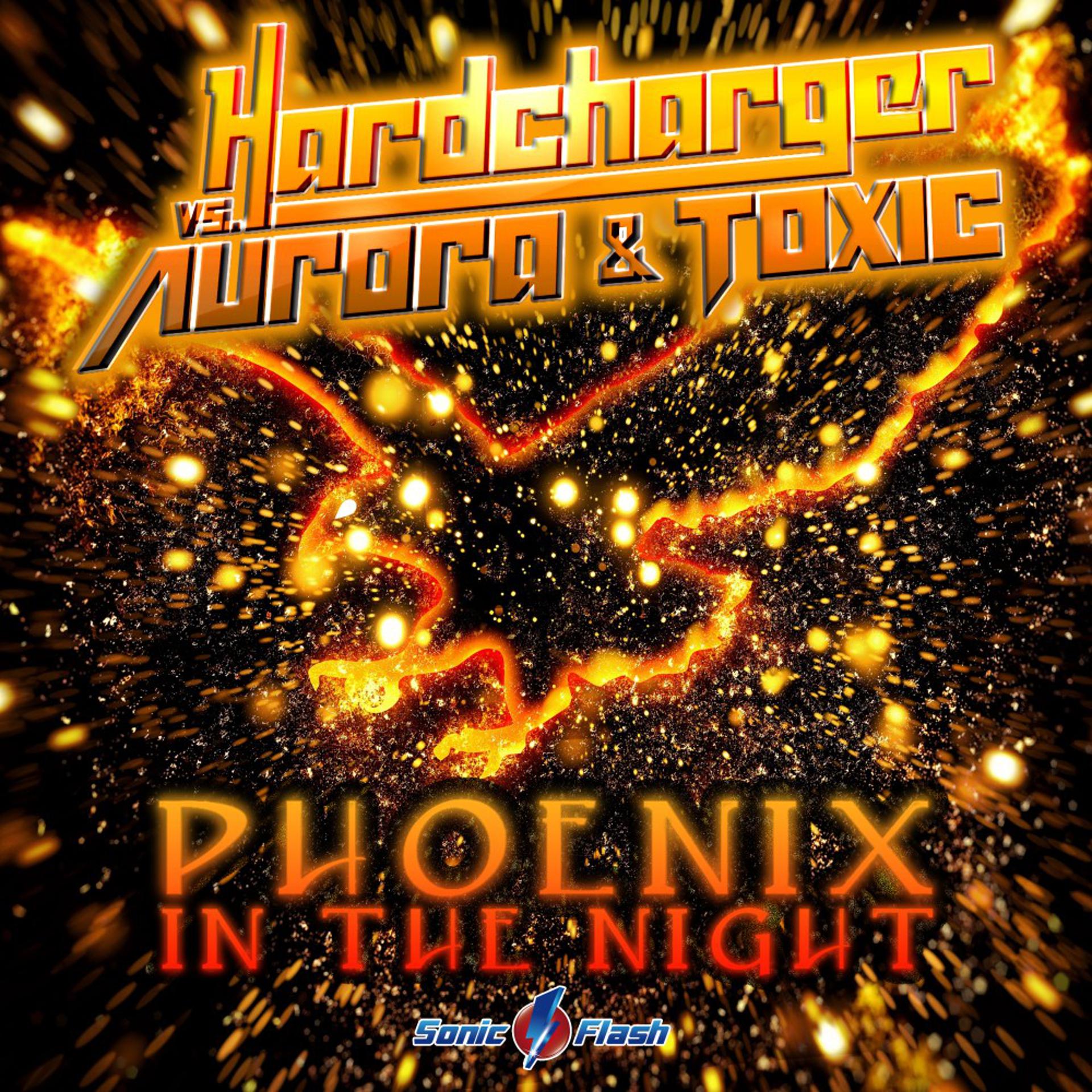 Постер альбома Phoenix in the Night