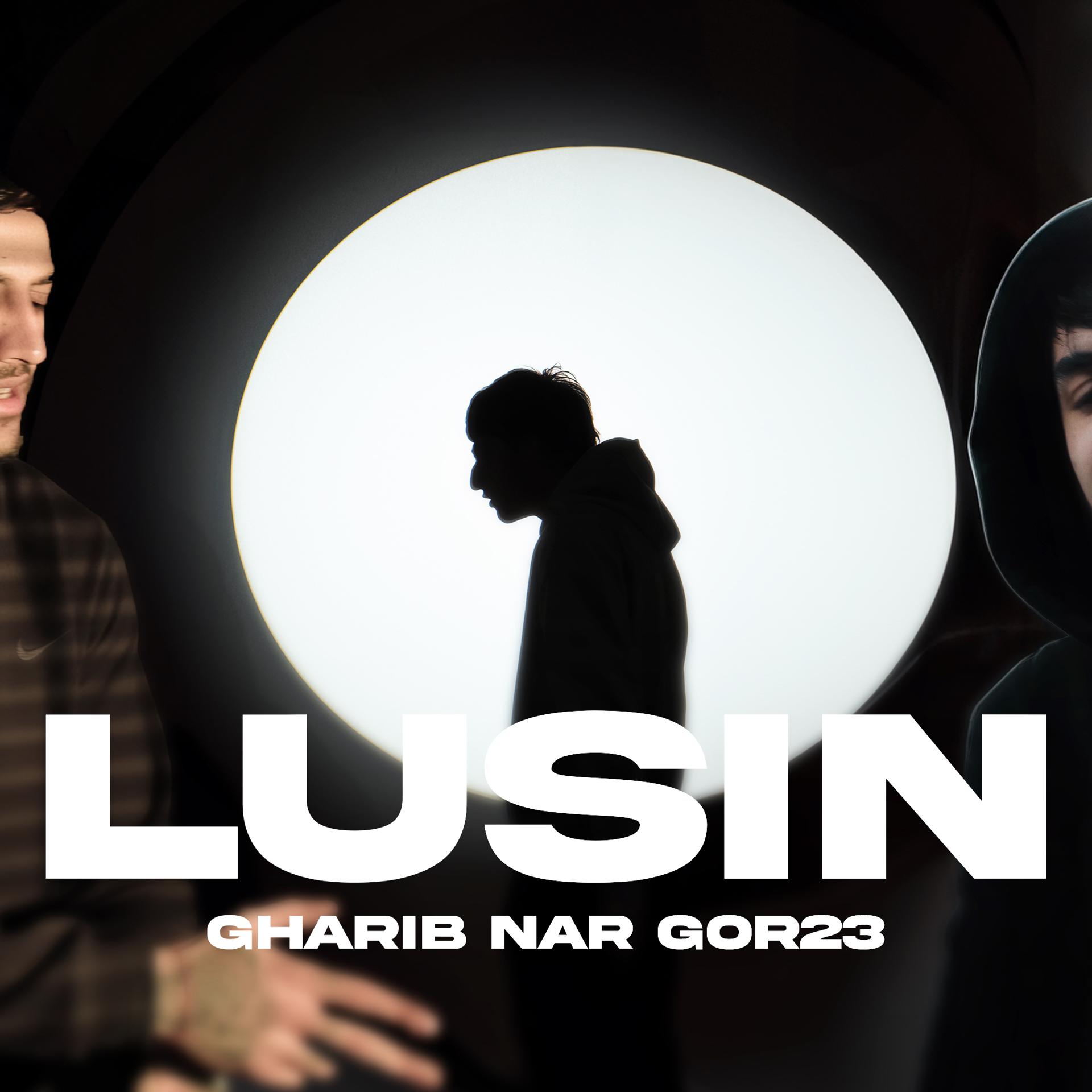 Постер альбома Lusin
