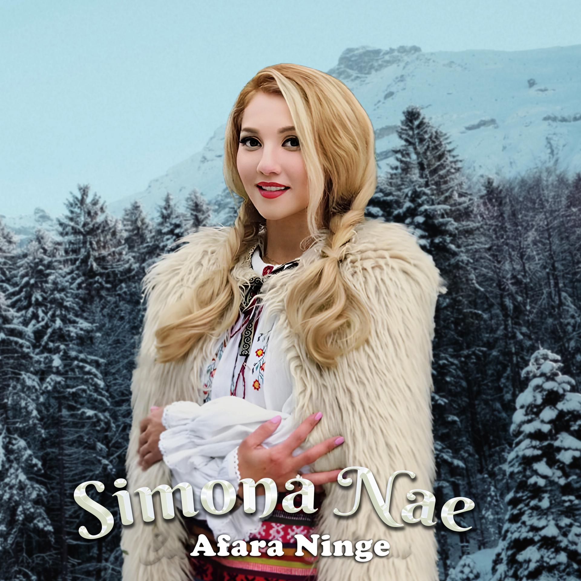 Постер альбома Afara Ninge