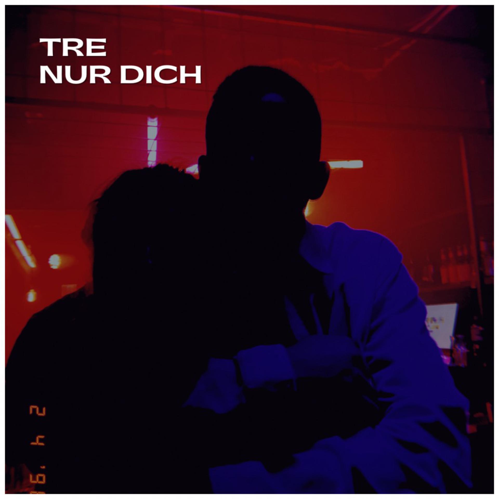 Постер альбома Nur Dich