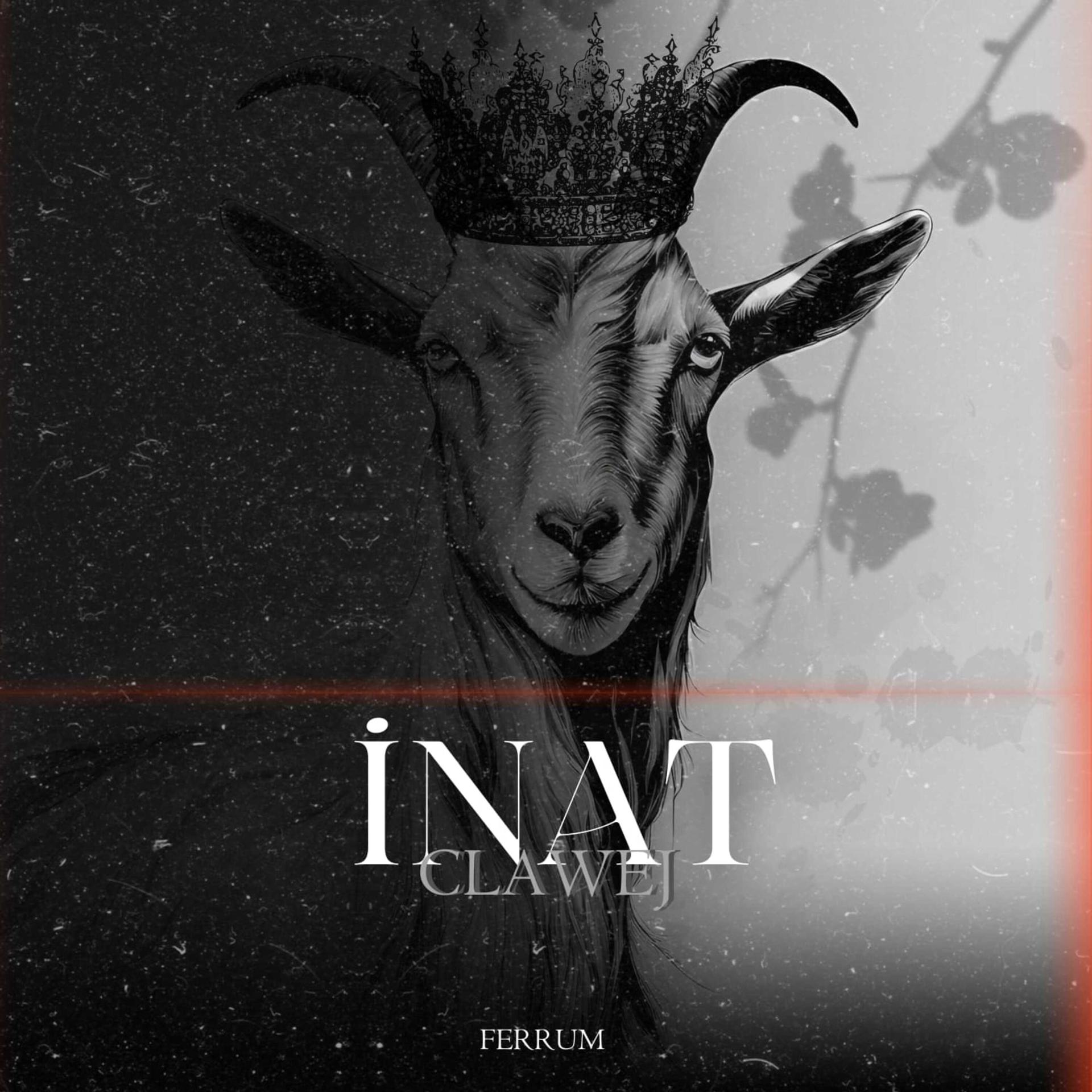 Постер альбома İNAT
