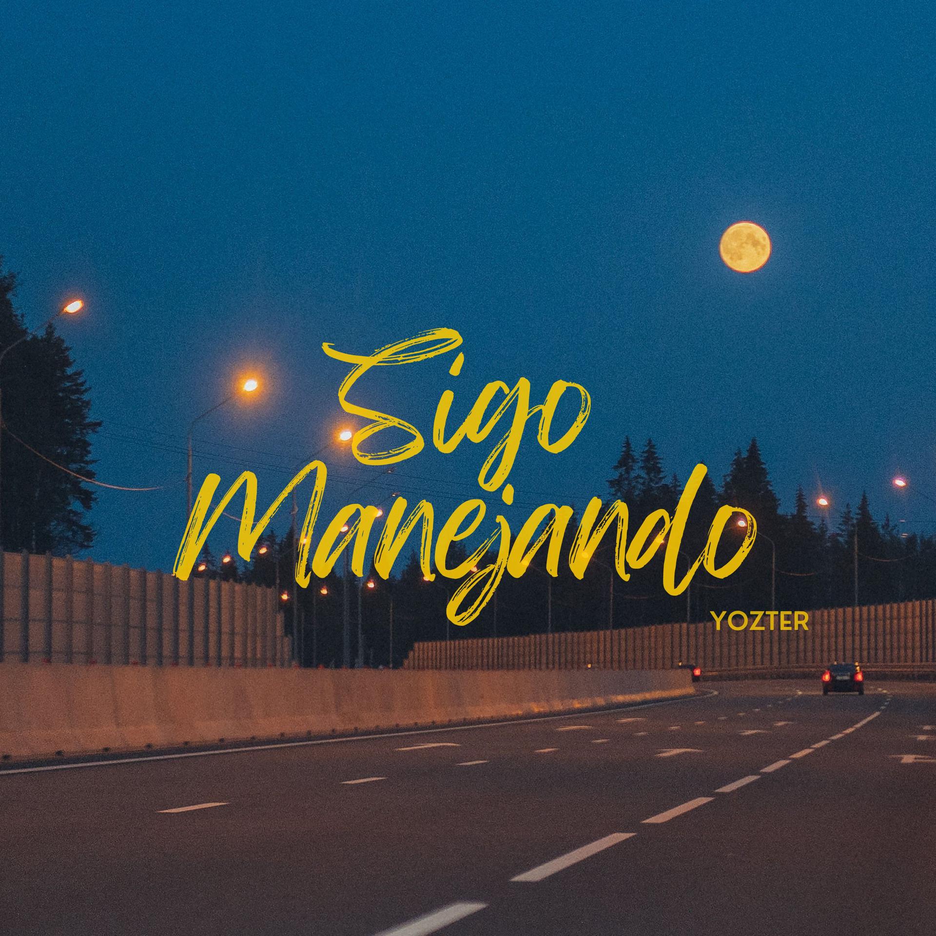 Постер альбома Sigo Manejando