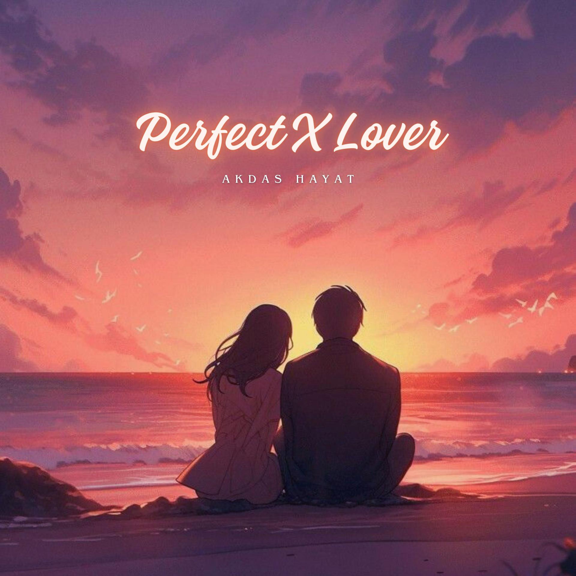 Постер альбома Perfect X Lover