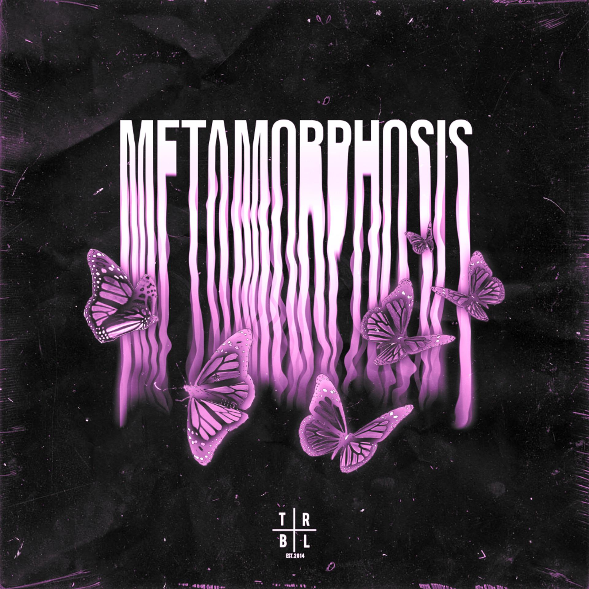 Постер альбома METAMORPHOSIS (Slowed + Reverb)