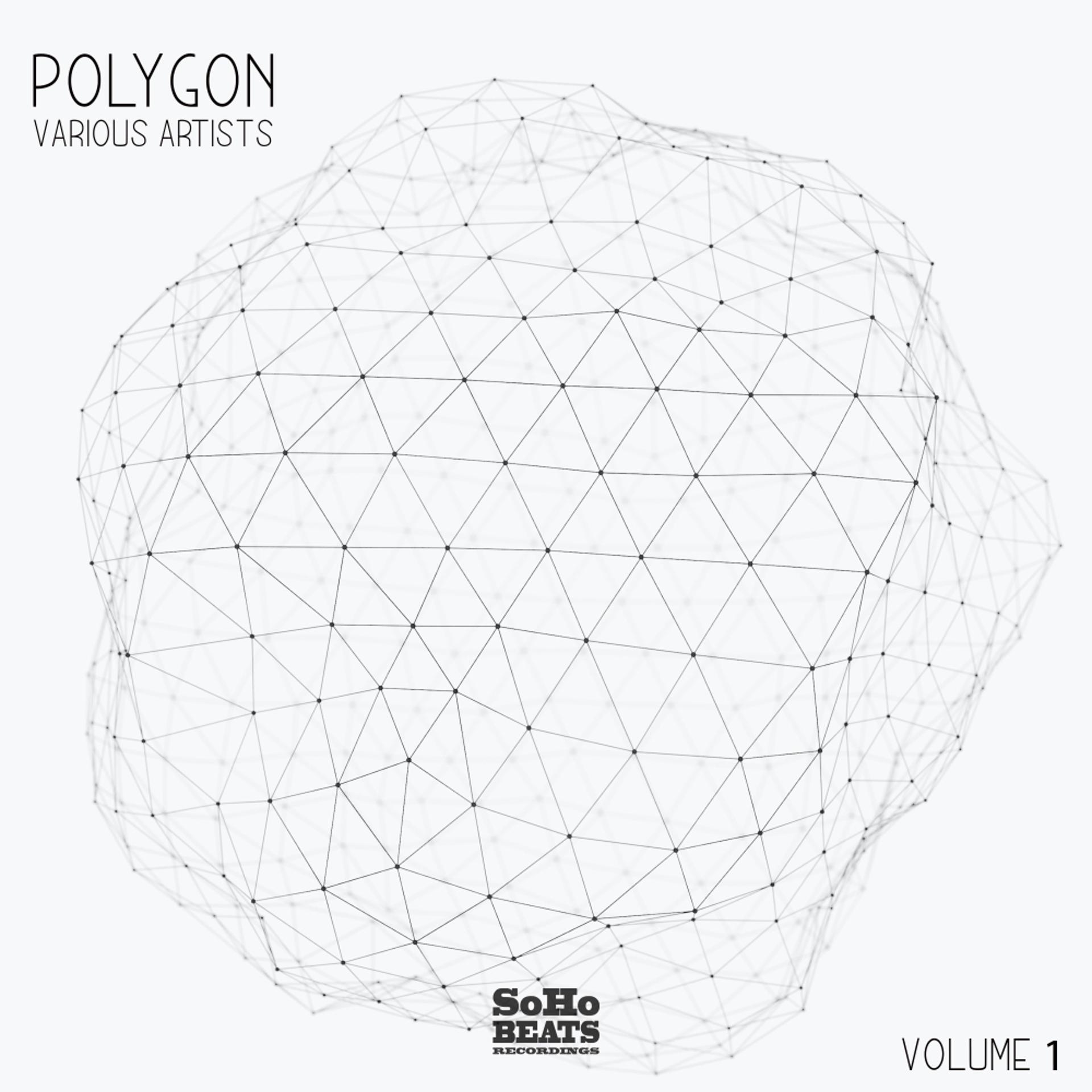 Постер альбома Polygon, Vol. 1