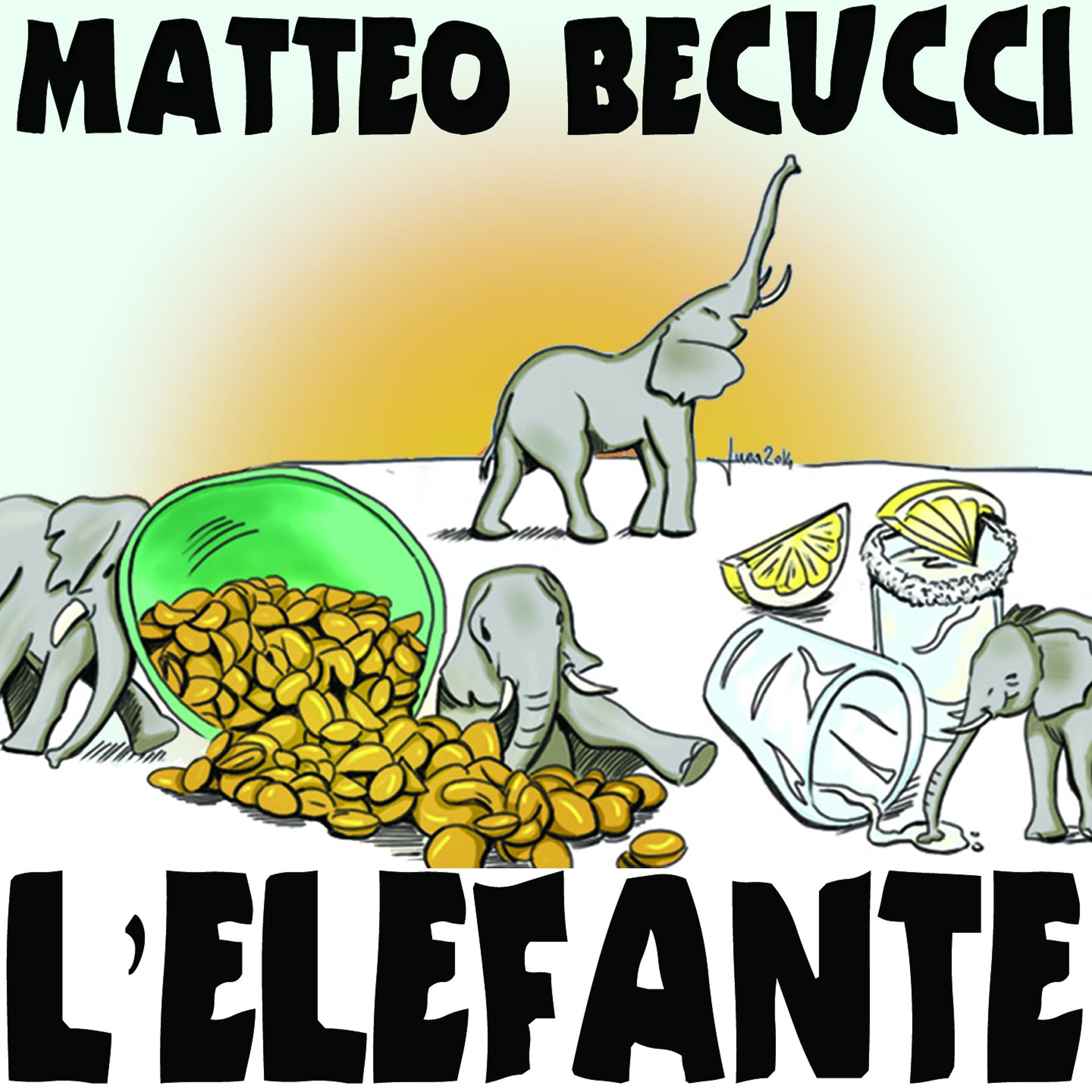 Постер альбома L'elefante