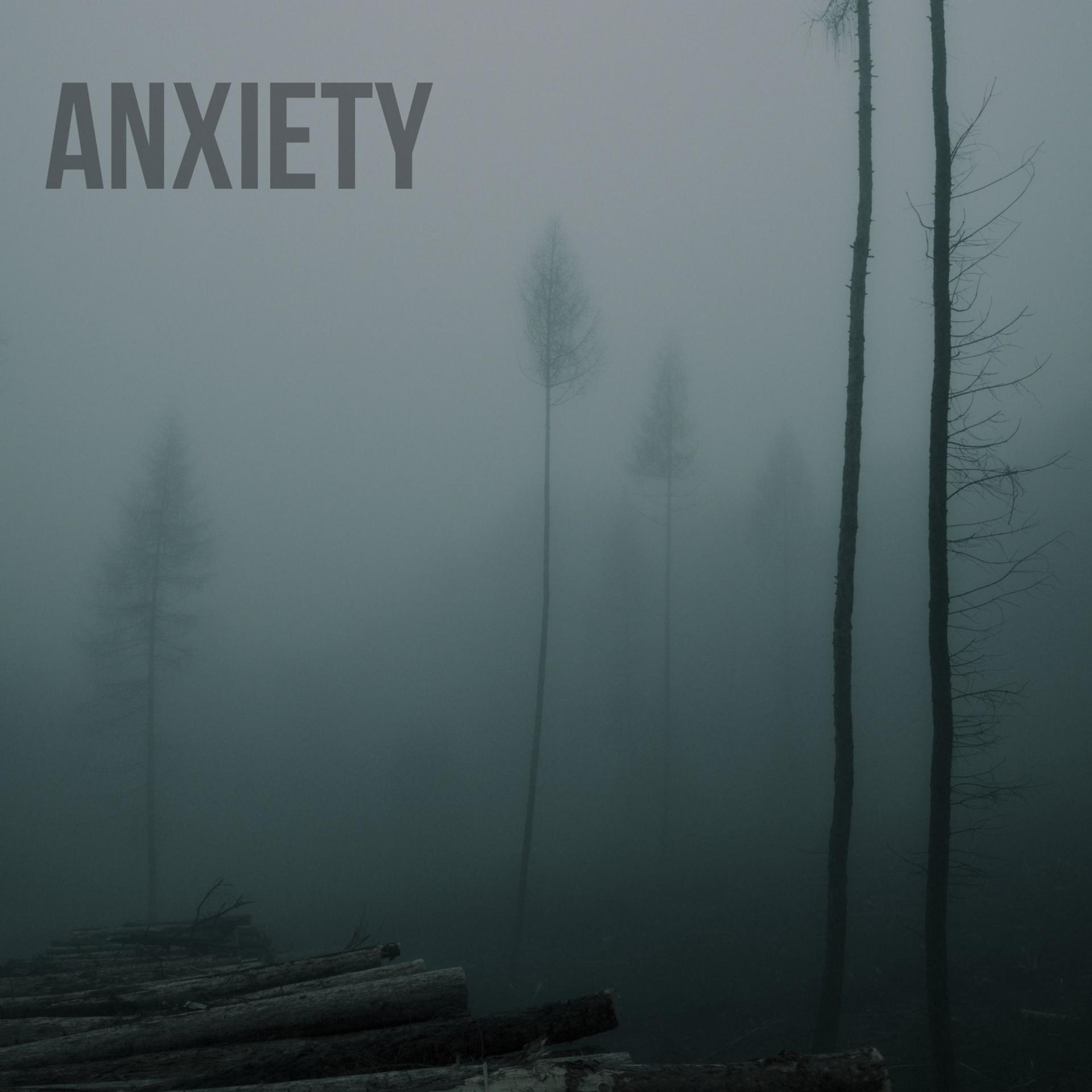Постер альбома anxiety