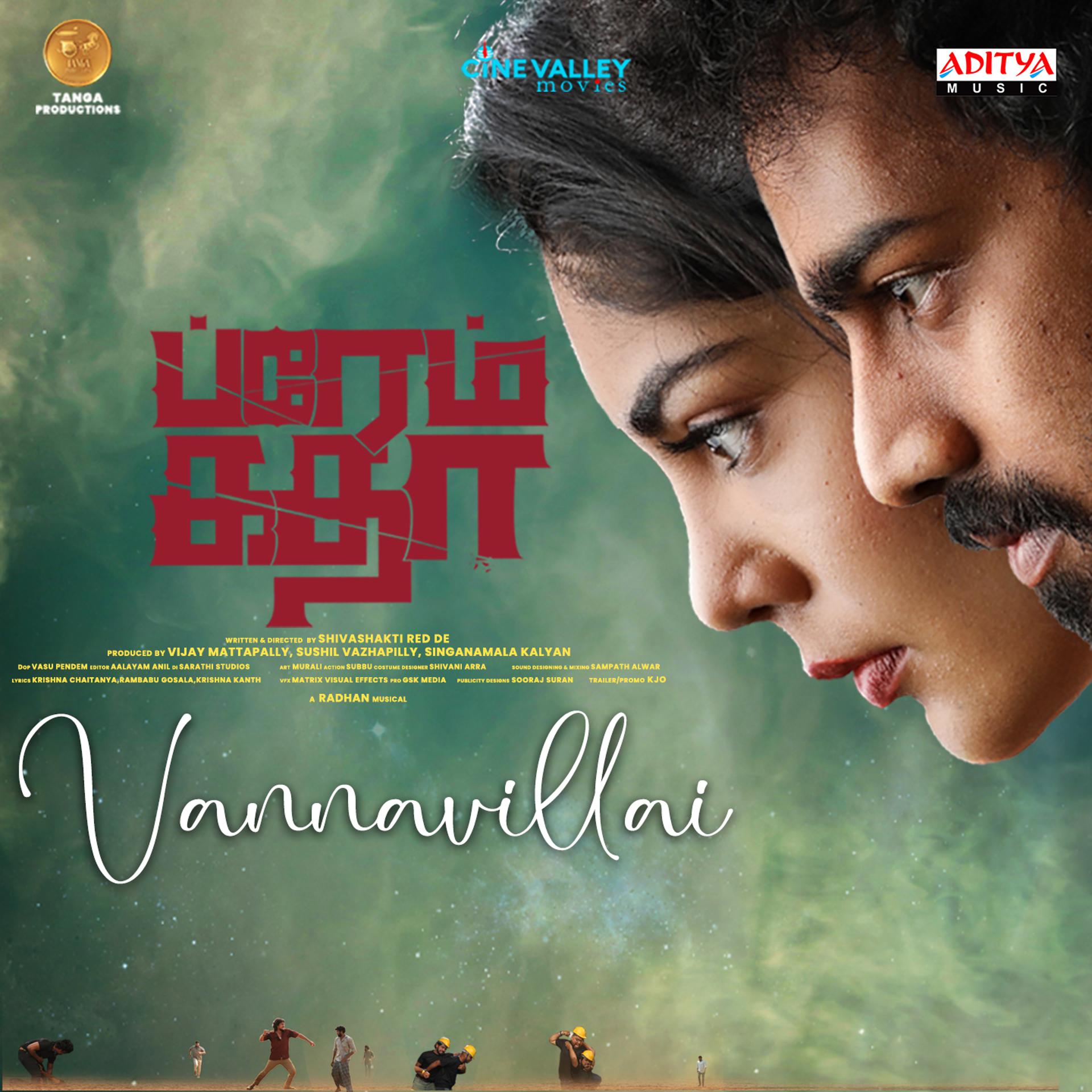 Постер альбома Vaanavillai
