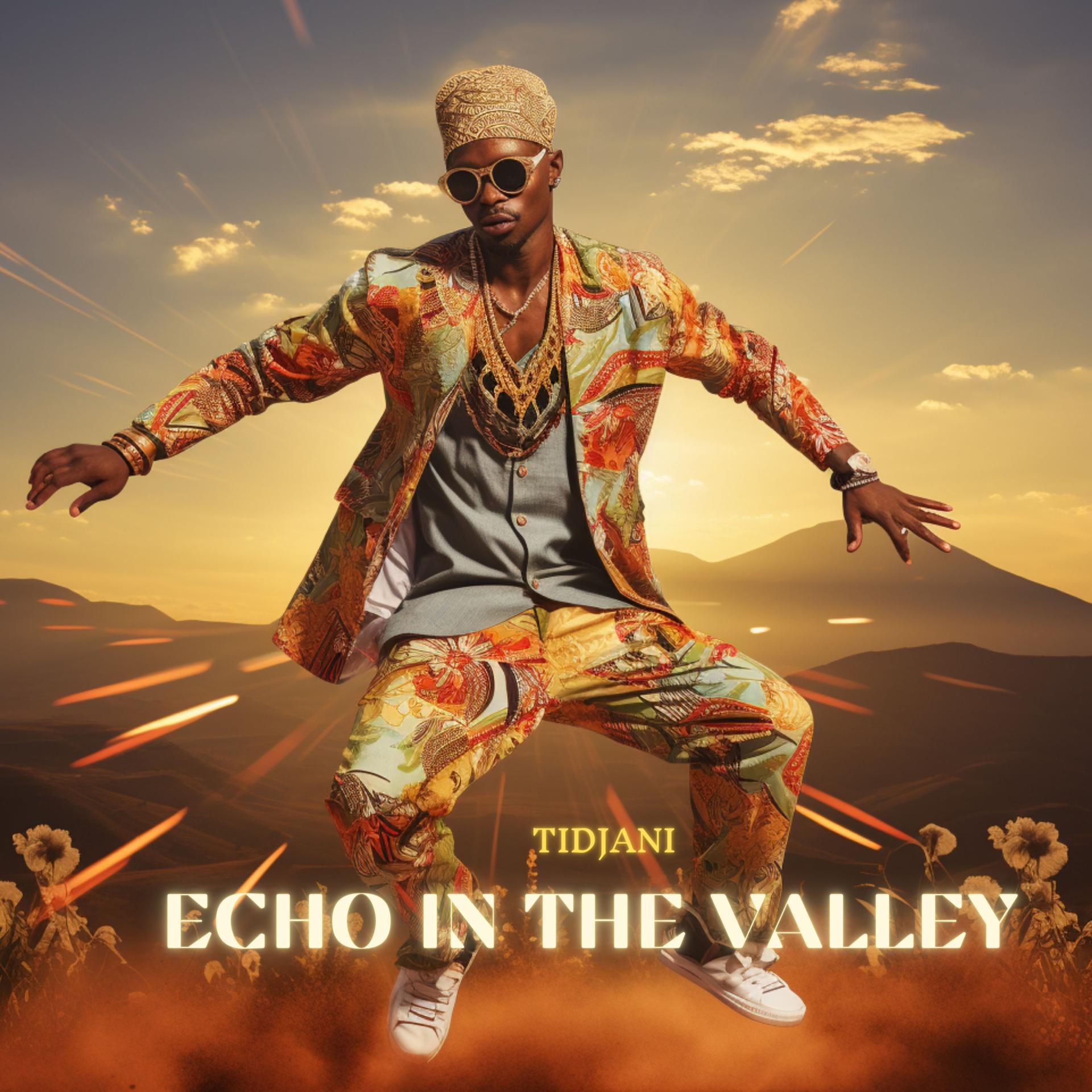 Постер альбома Echo in the Valley
