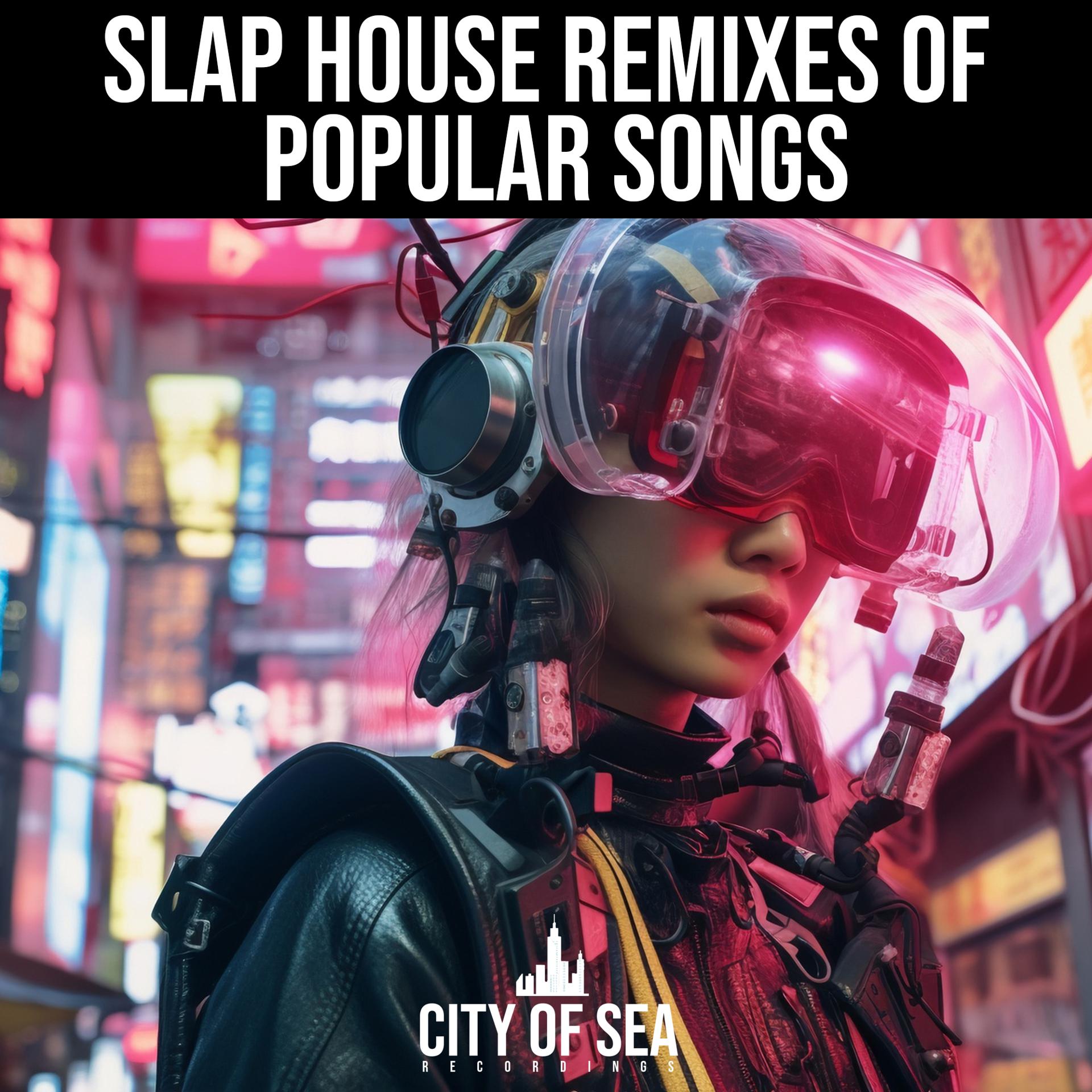 Постер альбома Slap House Remixes Of Popular Songs