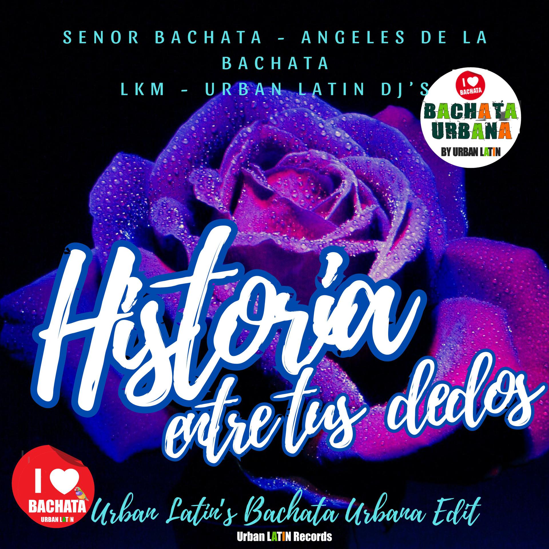 Постер альбома Historia entre tus Dedos