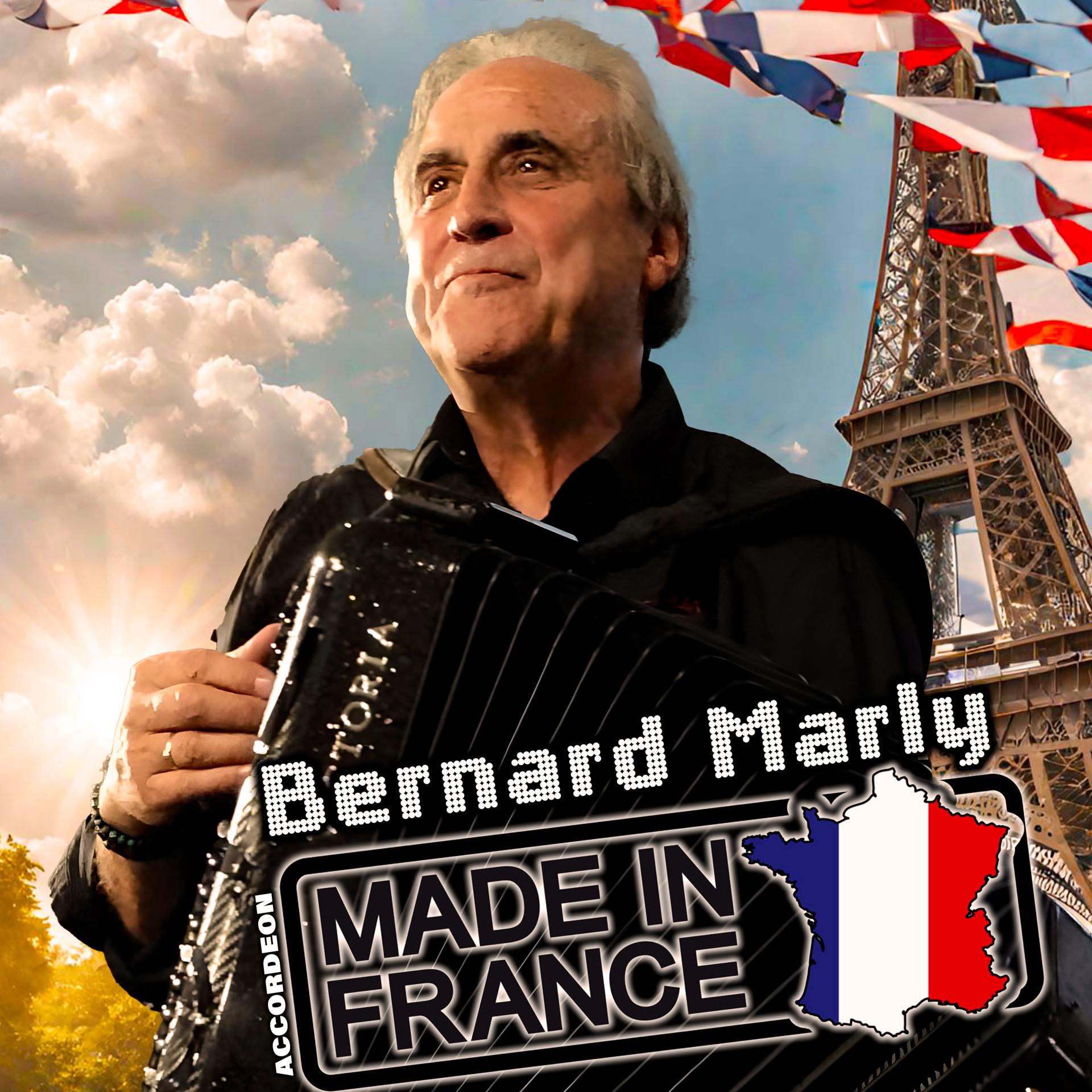 Постер альбома ACCORDEON MADE IN FRANCE