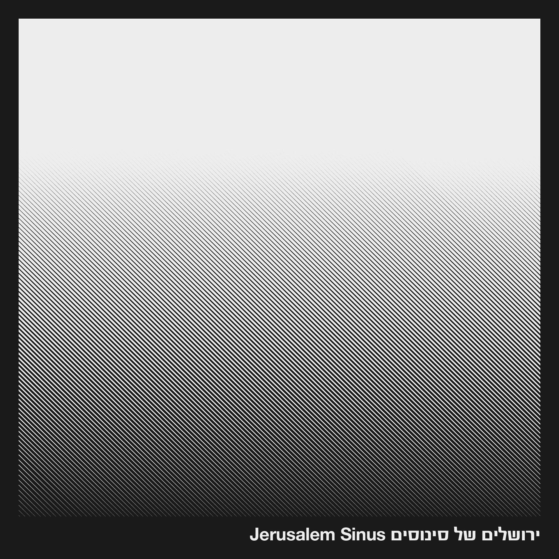 Постер альбома ירושלים של סינוסים