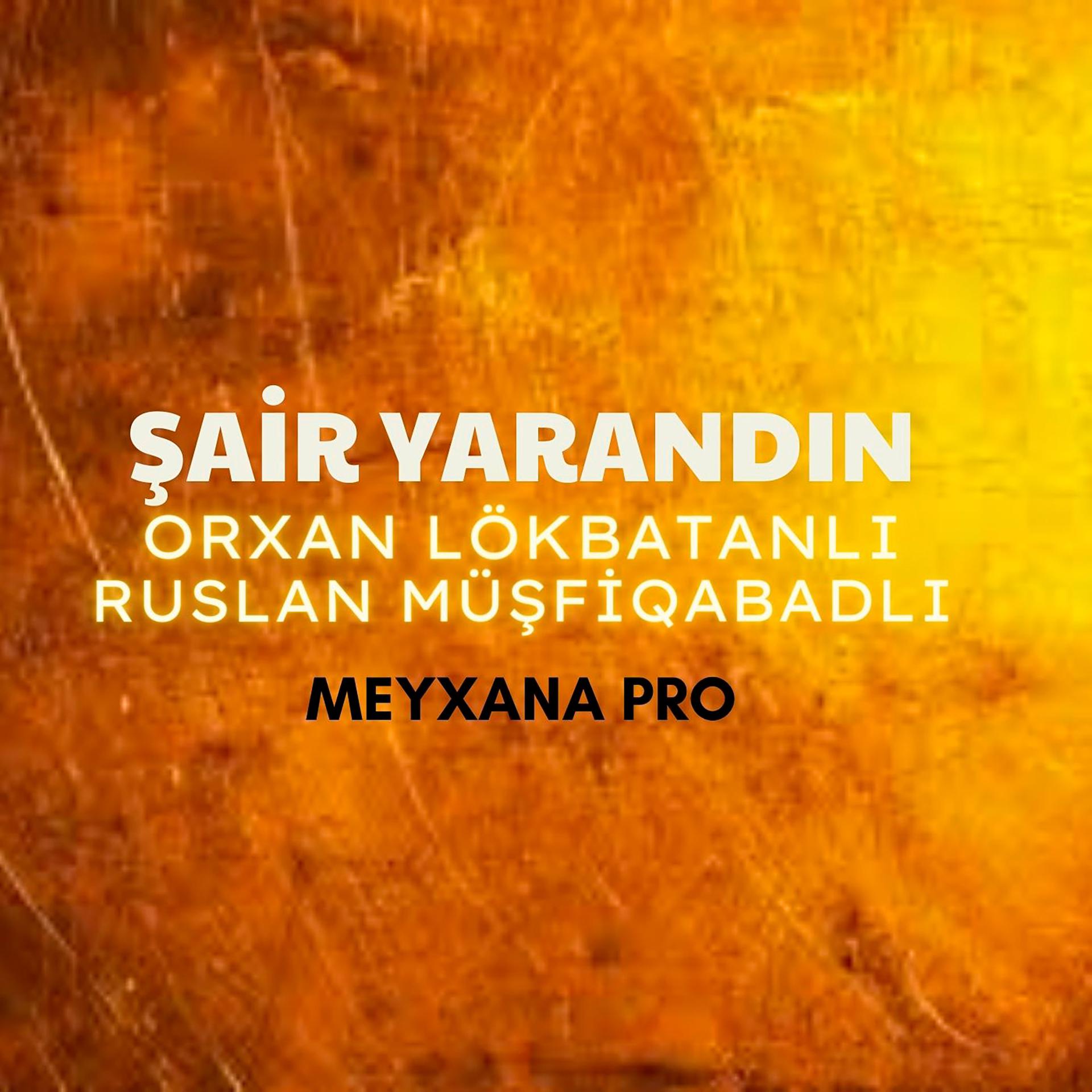 Постер альбома Şair Yarandın