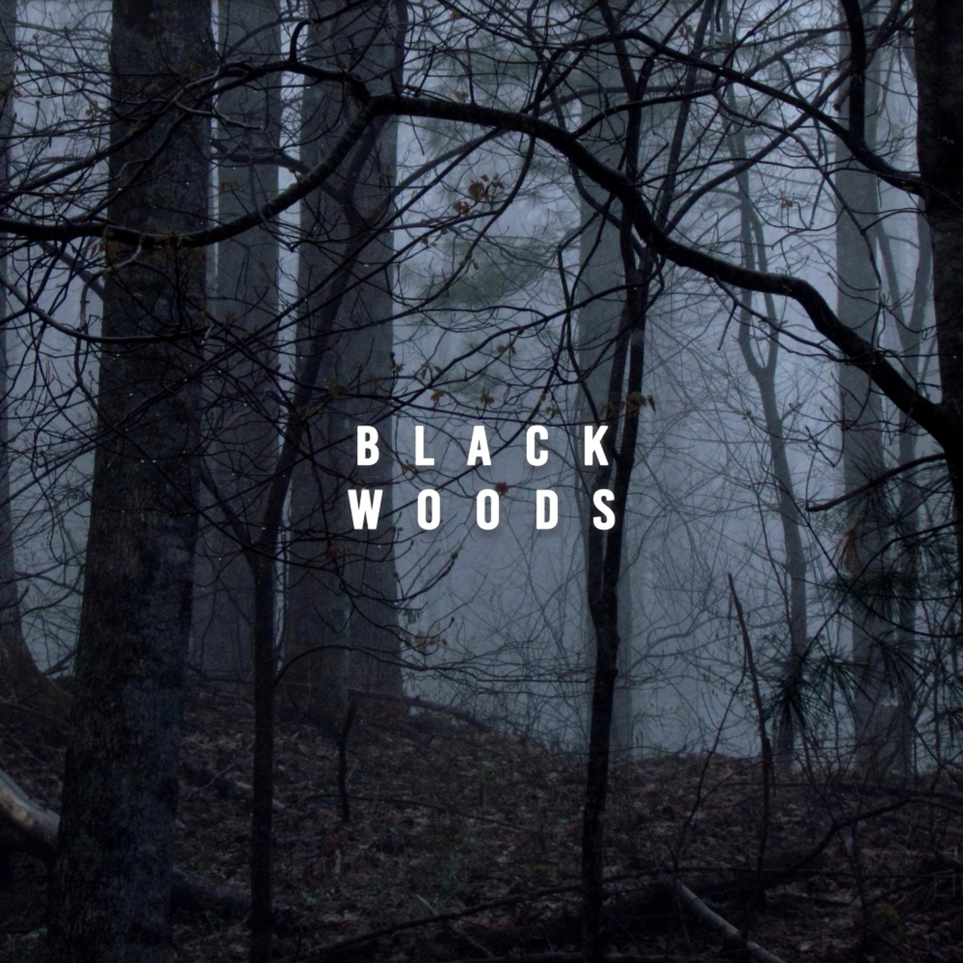 Постер альбома Black Woods