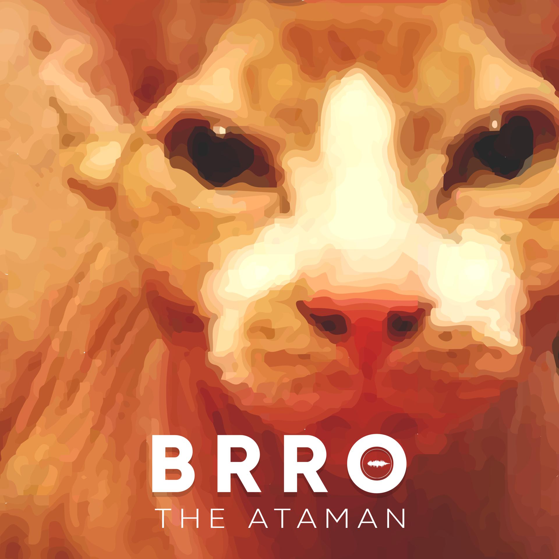 Постер альбома Brro