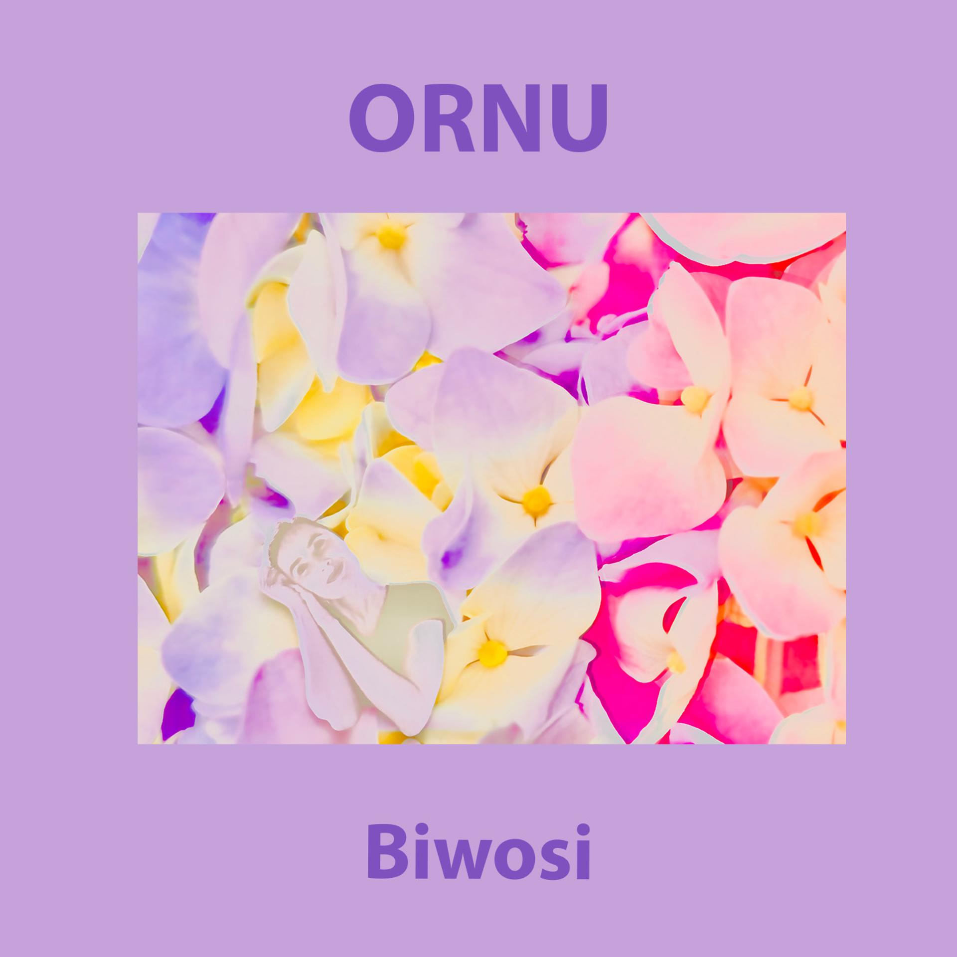 Постер альбома Biwosi