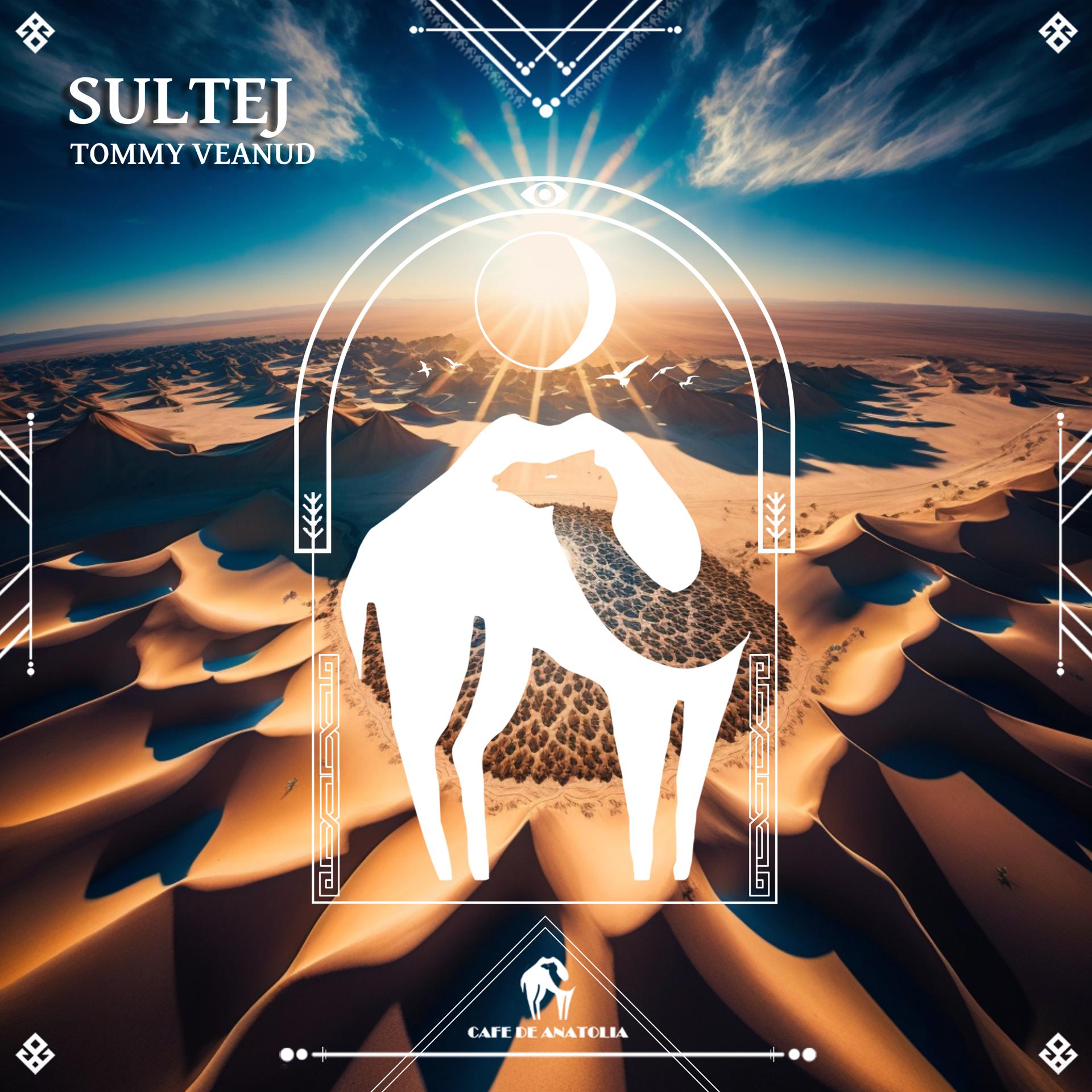 Постер альбома Sultej