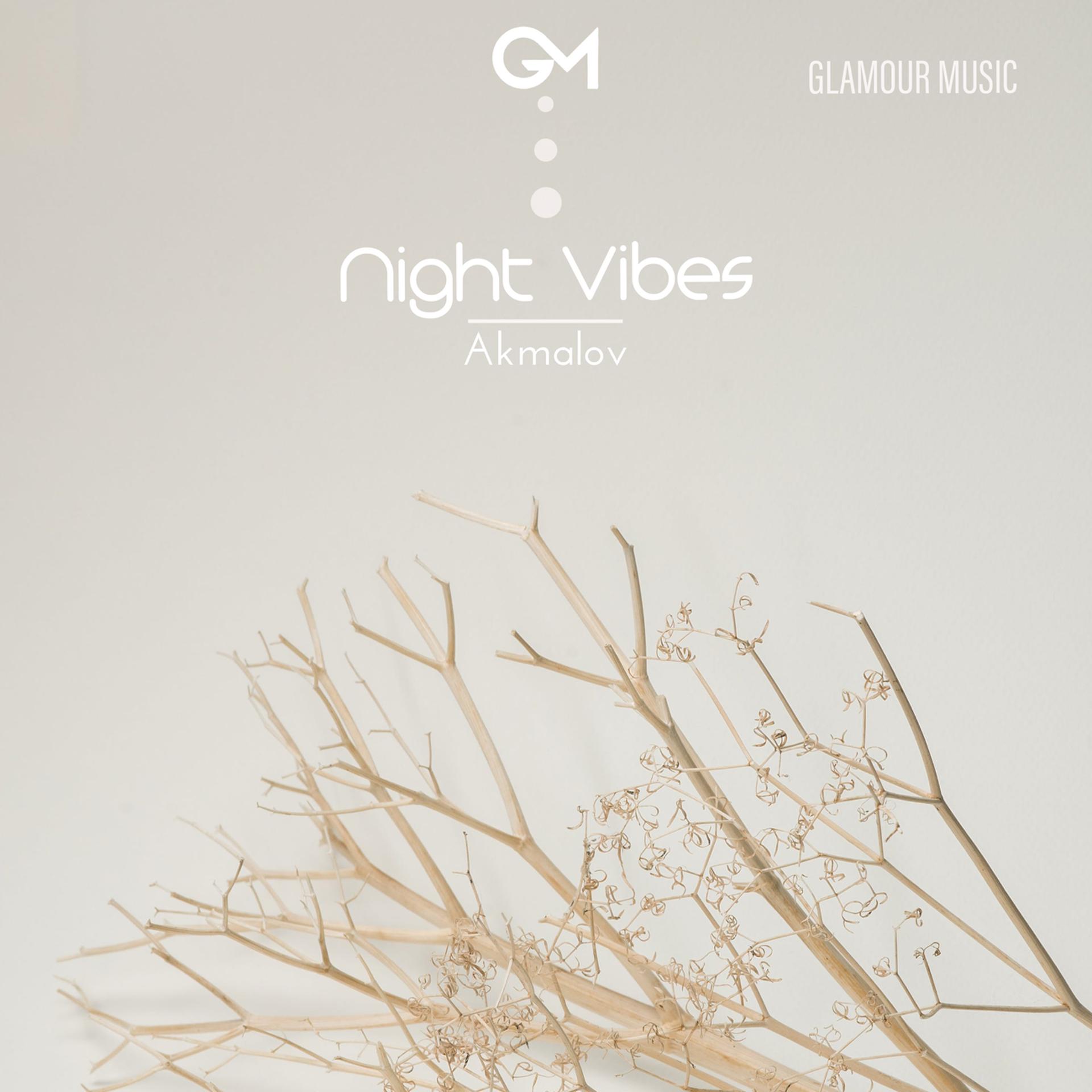Постер альбома Night Vibes