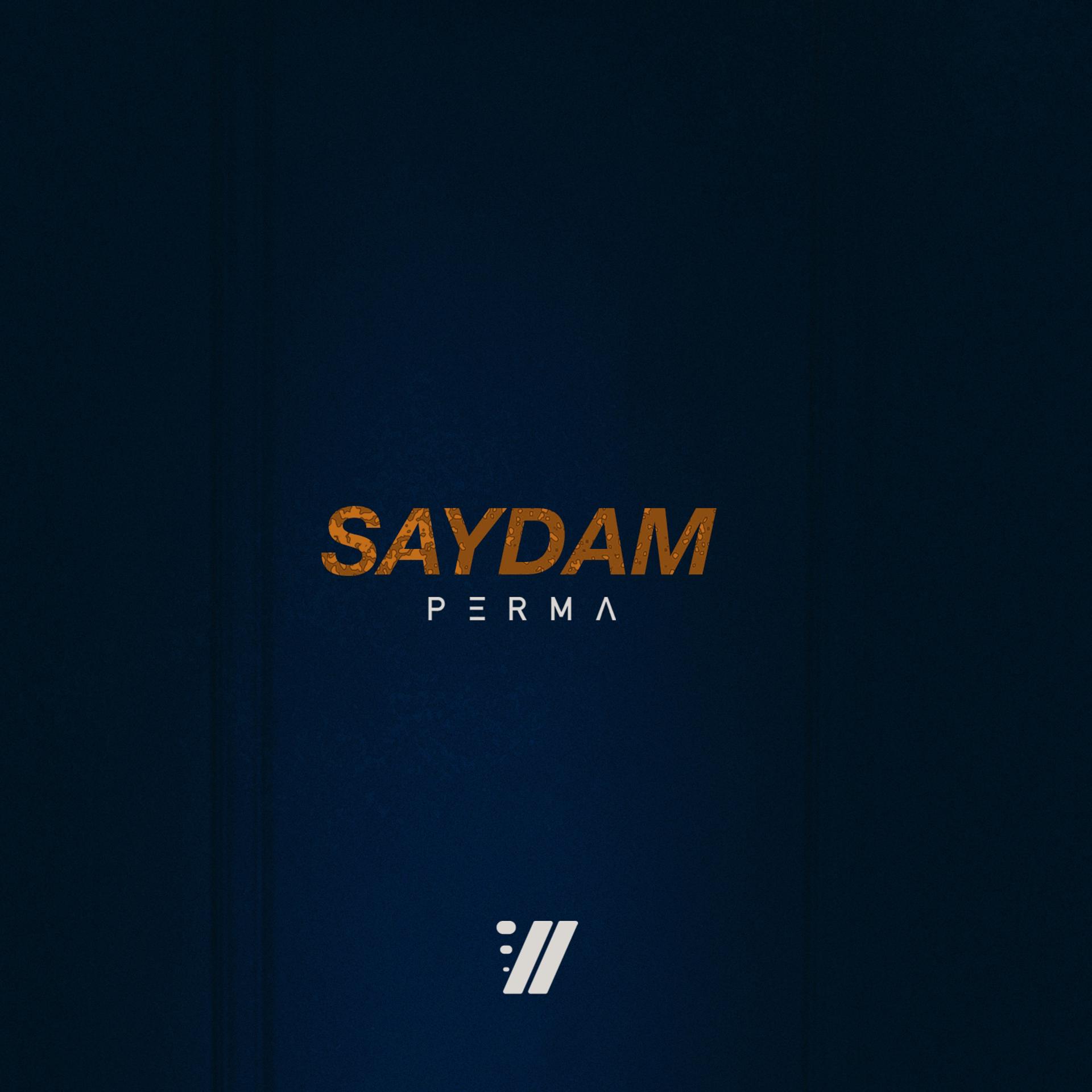 Постер альбома Saydam