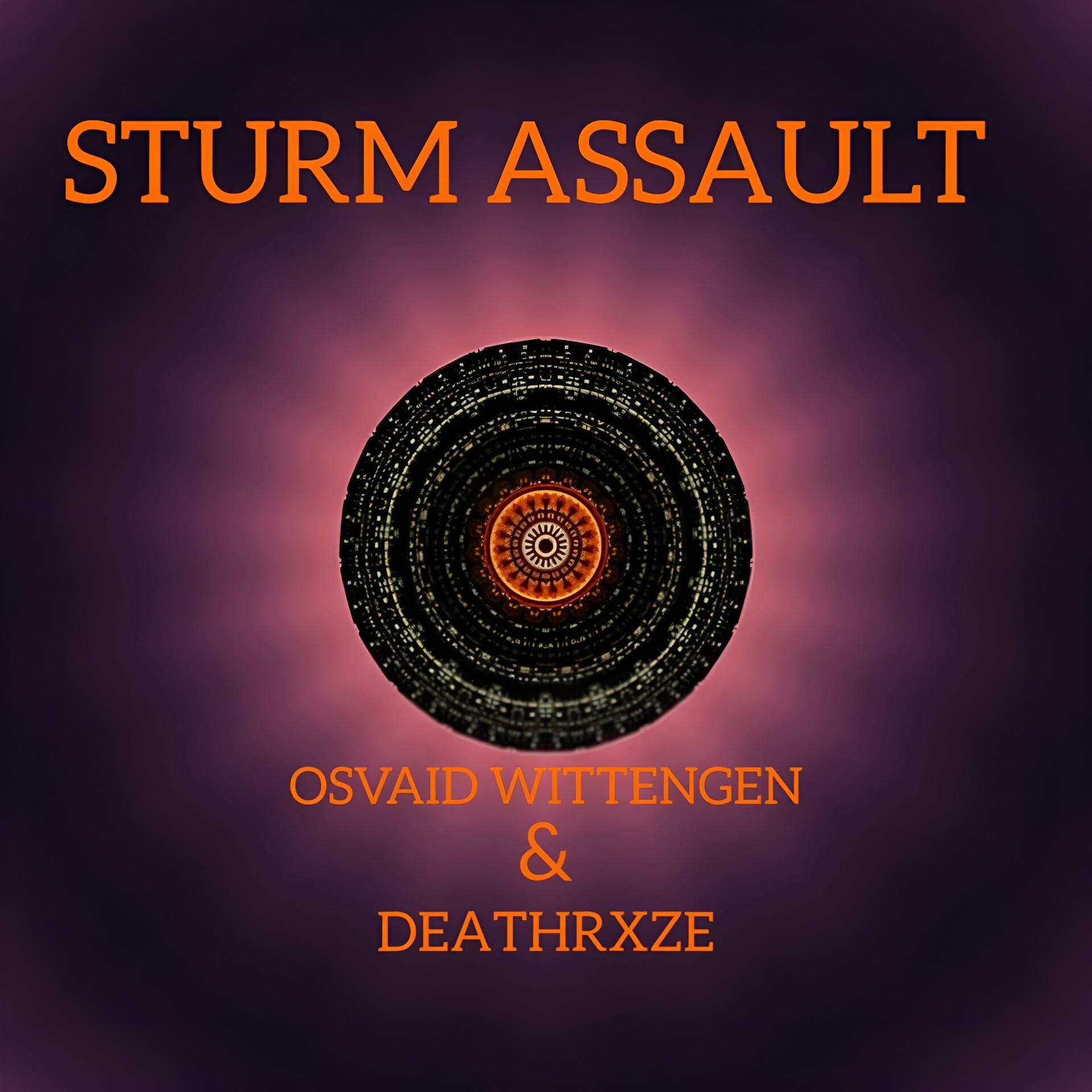 Постер альбома Sturm Assault