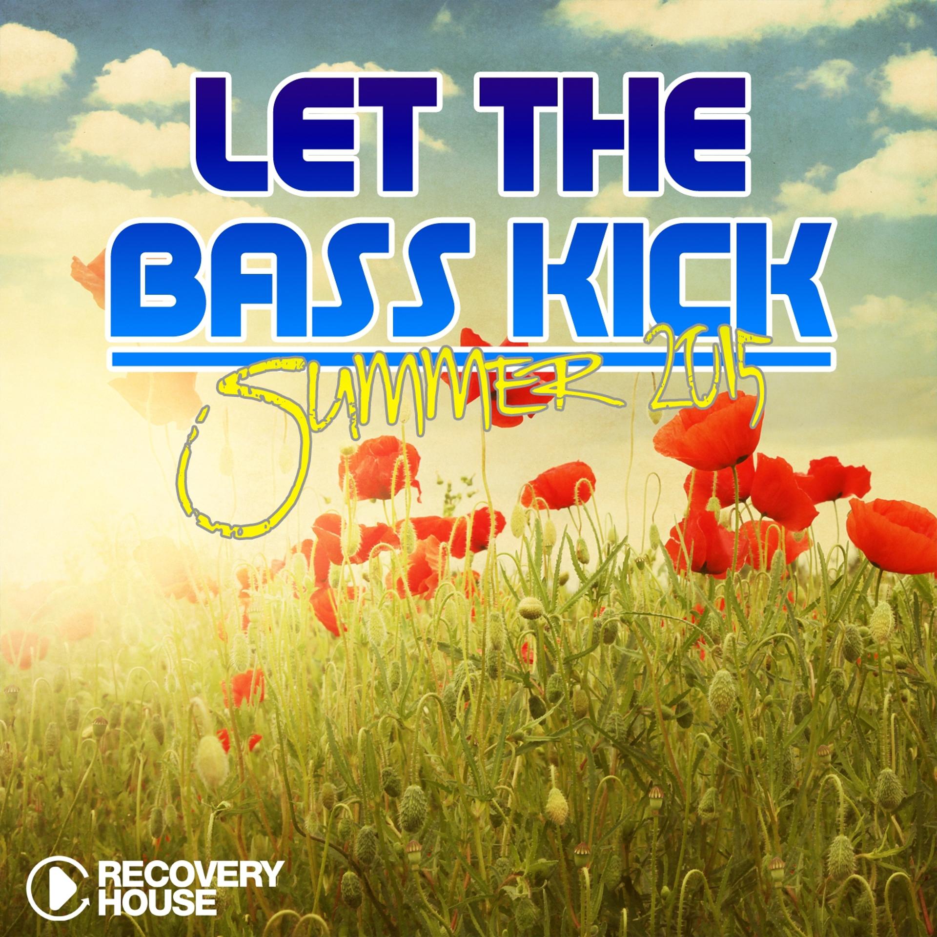 Постер альбома Let the Bass Kick - Summer 2015
