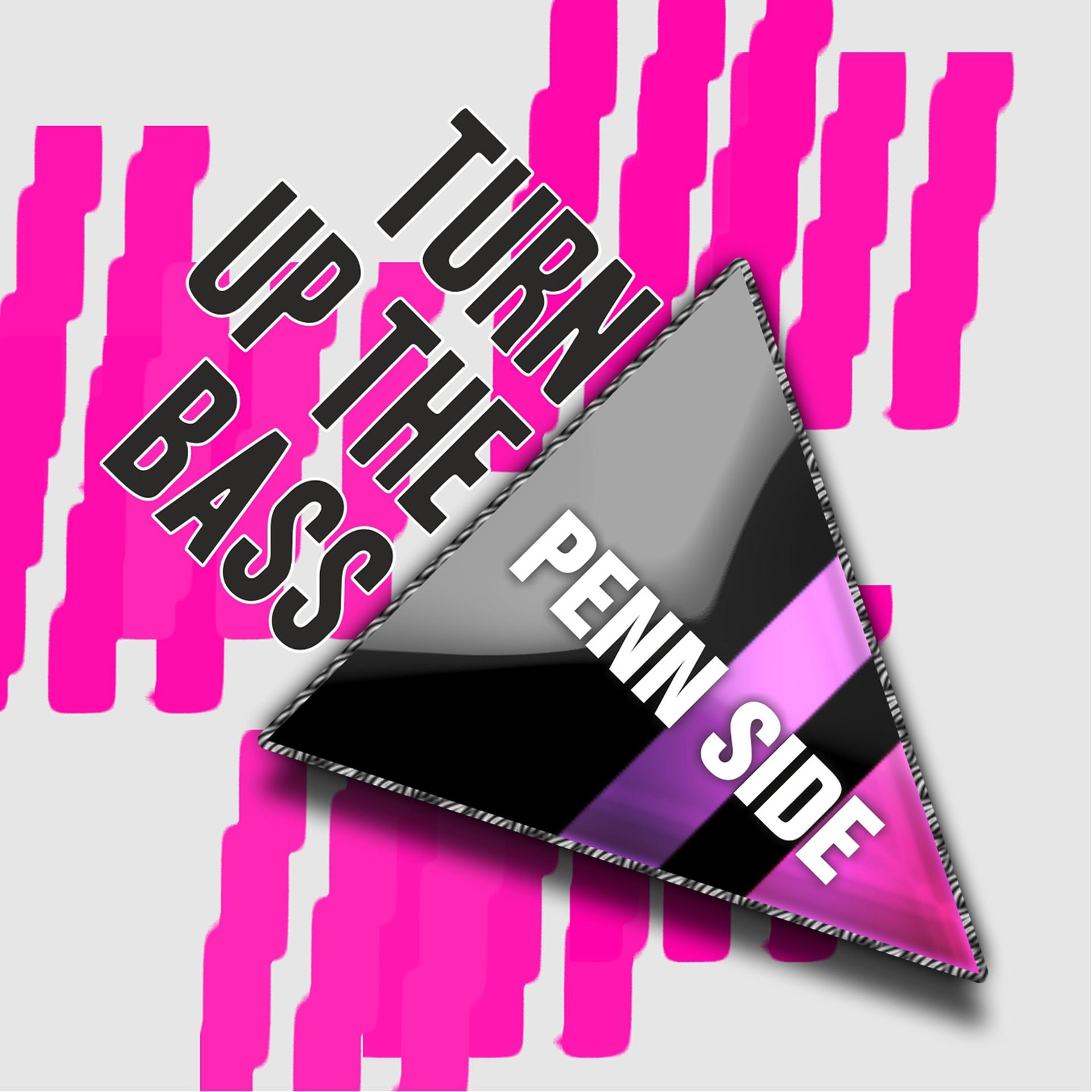 Постер альбома Turn Up the Bass